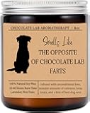 Yanashop88 Smells Like The Opposite of Chocolate Lab Farts Scented Jar Candle - Funny Dog Gifts for Dog Lovers - 8oz Soy Wax Candle