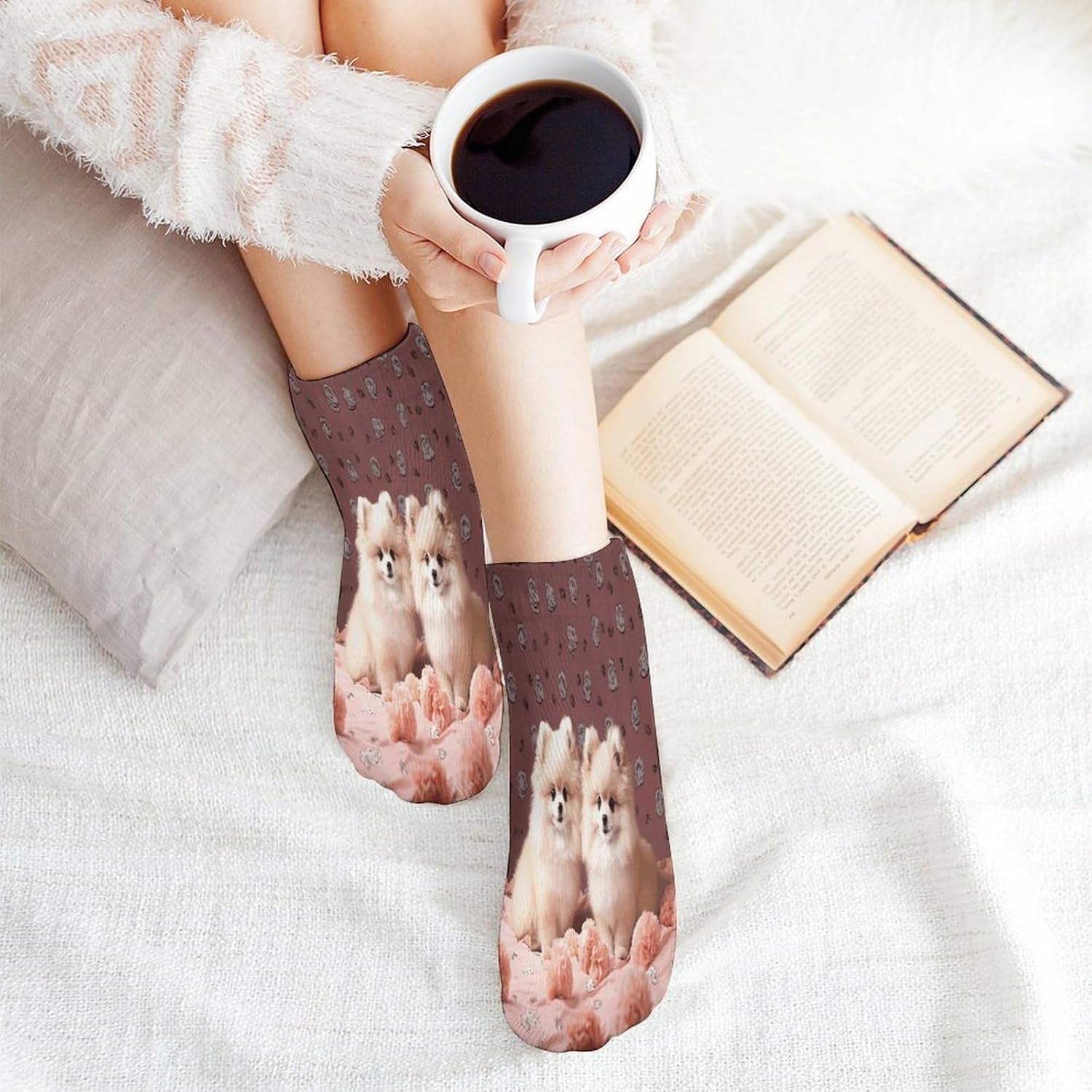 Pomeranians Puppies Point Ankle Socks for Men Women 5 Pairs