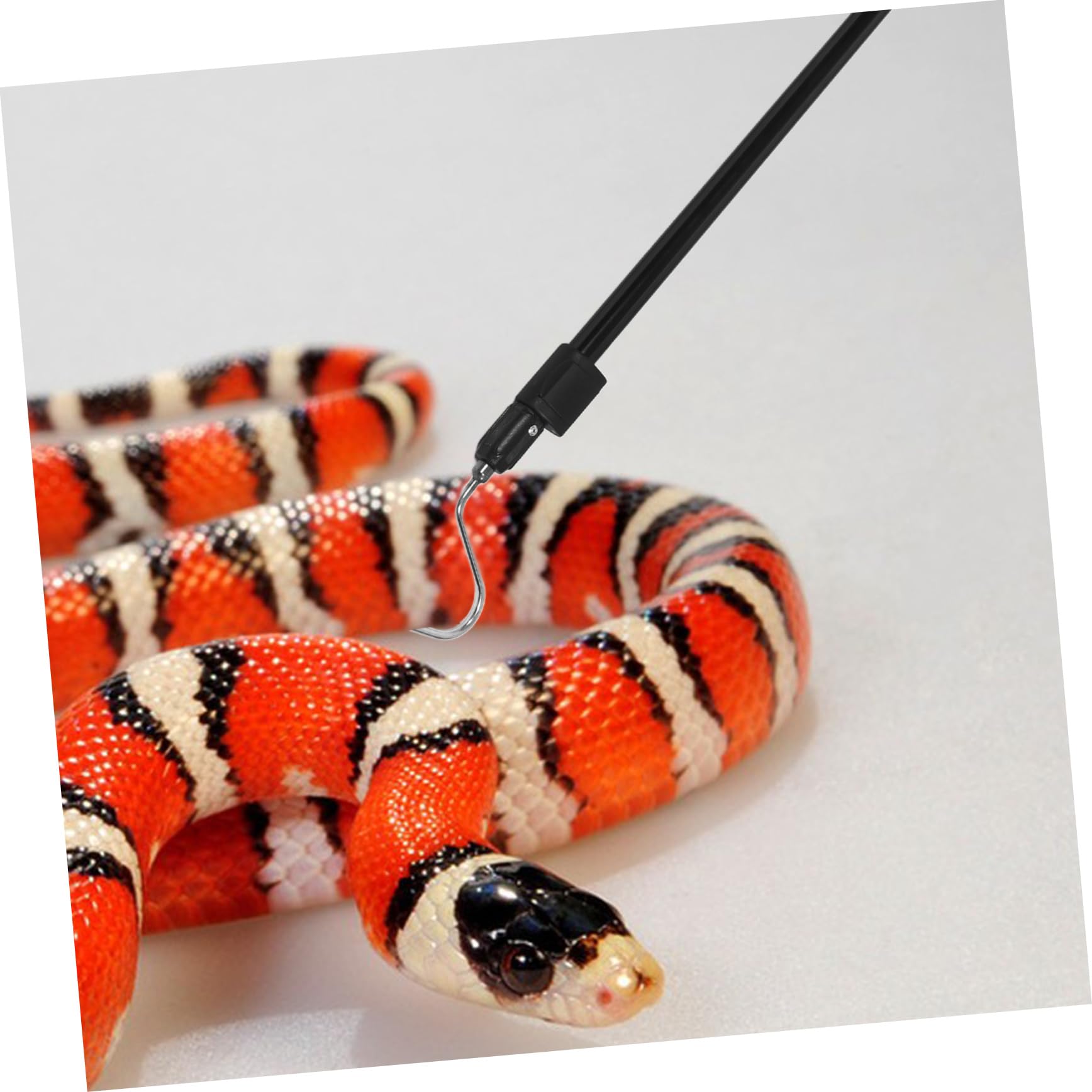 Teleskop-schlangenfänger Ausziehbarer Schlangenhaken Für Reptilienfang Robustes Werkzeug Für Sicheres Handling Für Outdoor-Camping Und Schlangenrettung Leicht Und