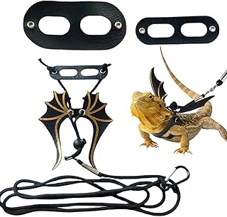 Dragão Barbudo Trela Lagarto - Trela de Lagarto Pacote de 3 Tamanhos para Caminhar | Trela de caminhada ajustável, corda de tração para répteis dragão lagarto barbudo Rossev