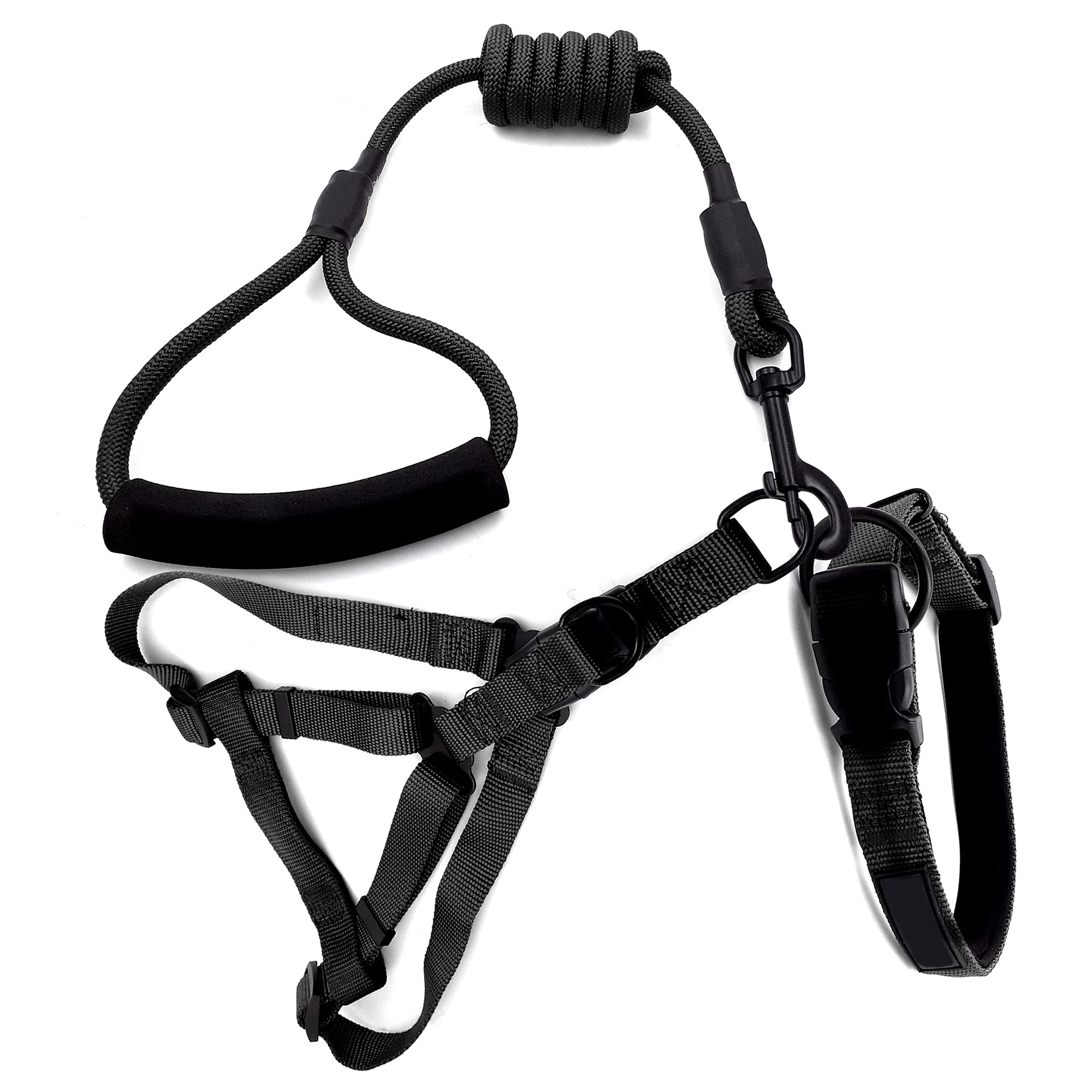 Jainsons Pet Products Nylon Rope Leash with Collar and Harness Set for Medium Size Dogs (1 Inch, Black) (B098LJZD3X) Amazon Price History, Amazon Price Tracker