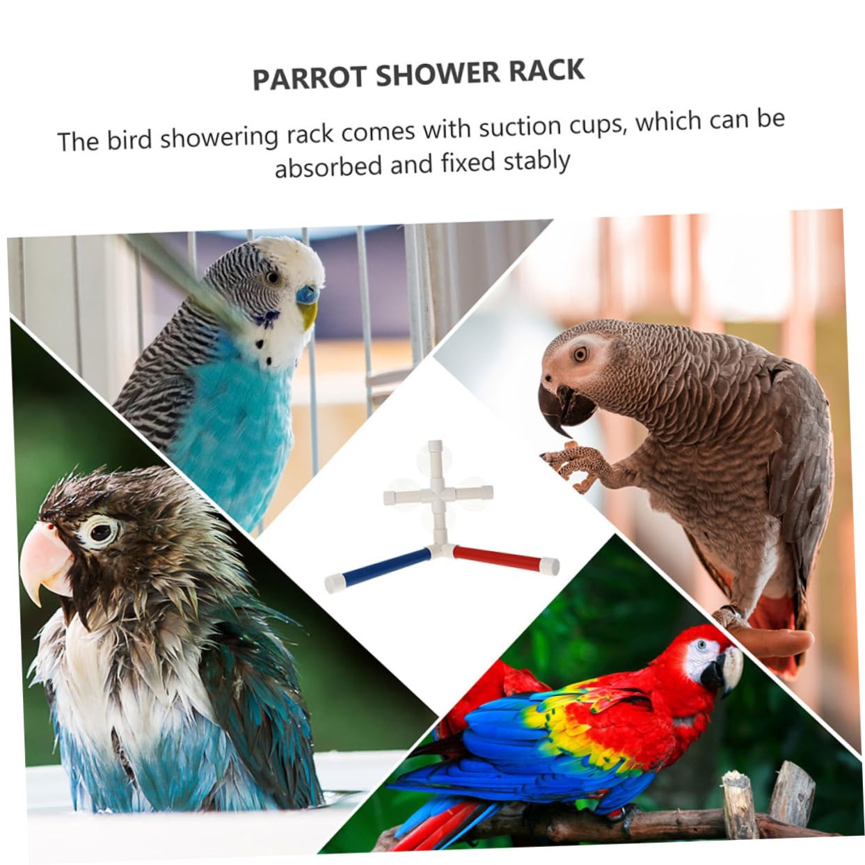 BESPORTBLE 3ensembles Support De Bain pour Oiseaux Perchoir De pour Perroquets Et Perruches Accessoire De Toilettage pour Oiseaux