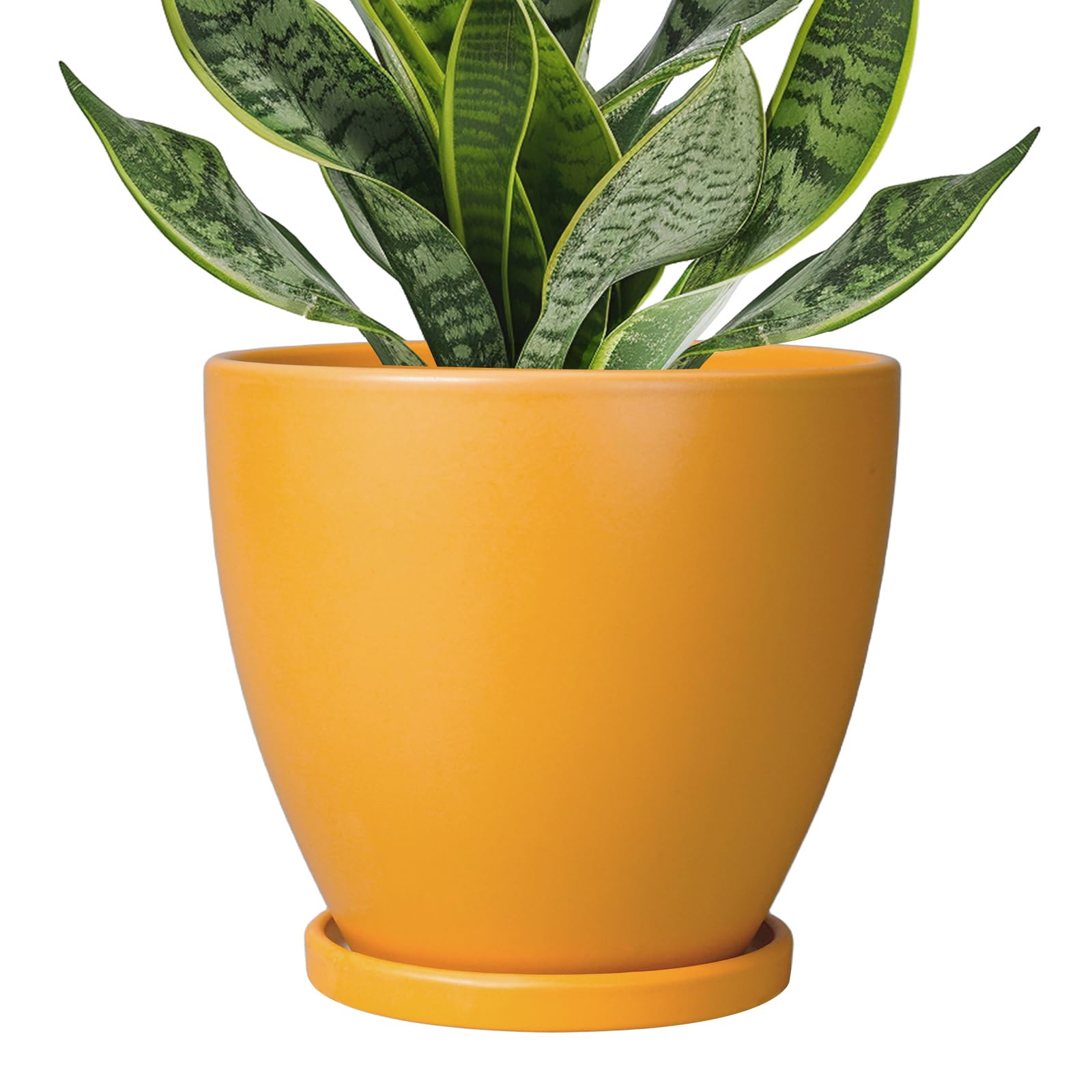 EPFamily Glossy Orange Plant Pot