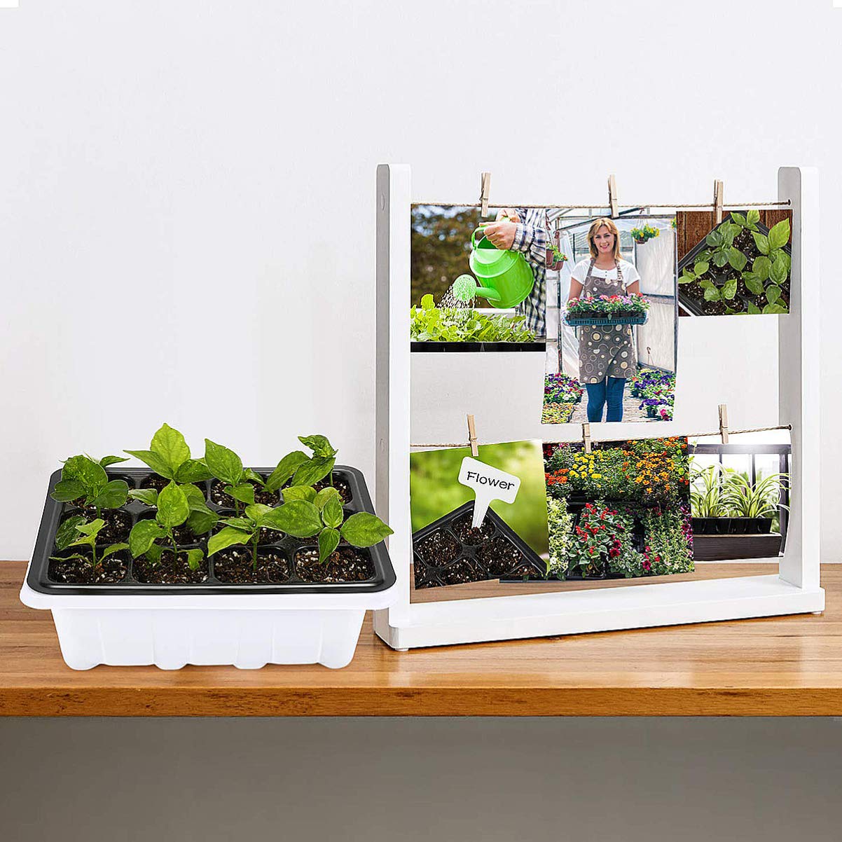 BESPORTBLE Vaschette Semenzaio 10 Confezione 12 Celle Plastico Bianco | Pervious To Light, Drain Holes e Proper Drainage, Gardening per Small Plants e Peppers