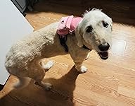 Review Image by Jessahanne