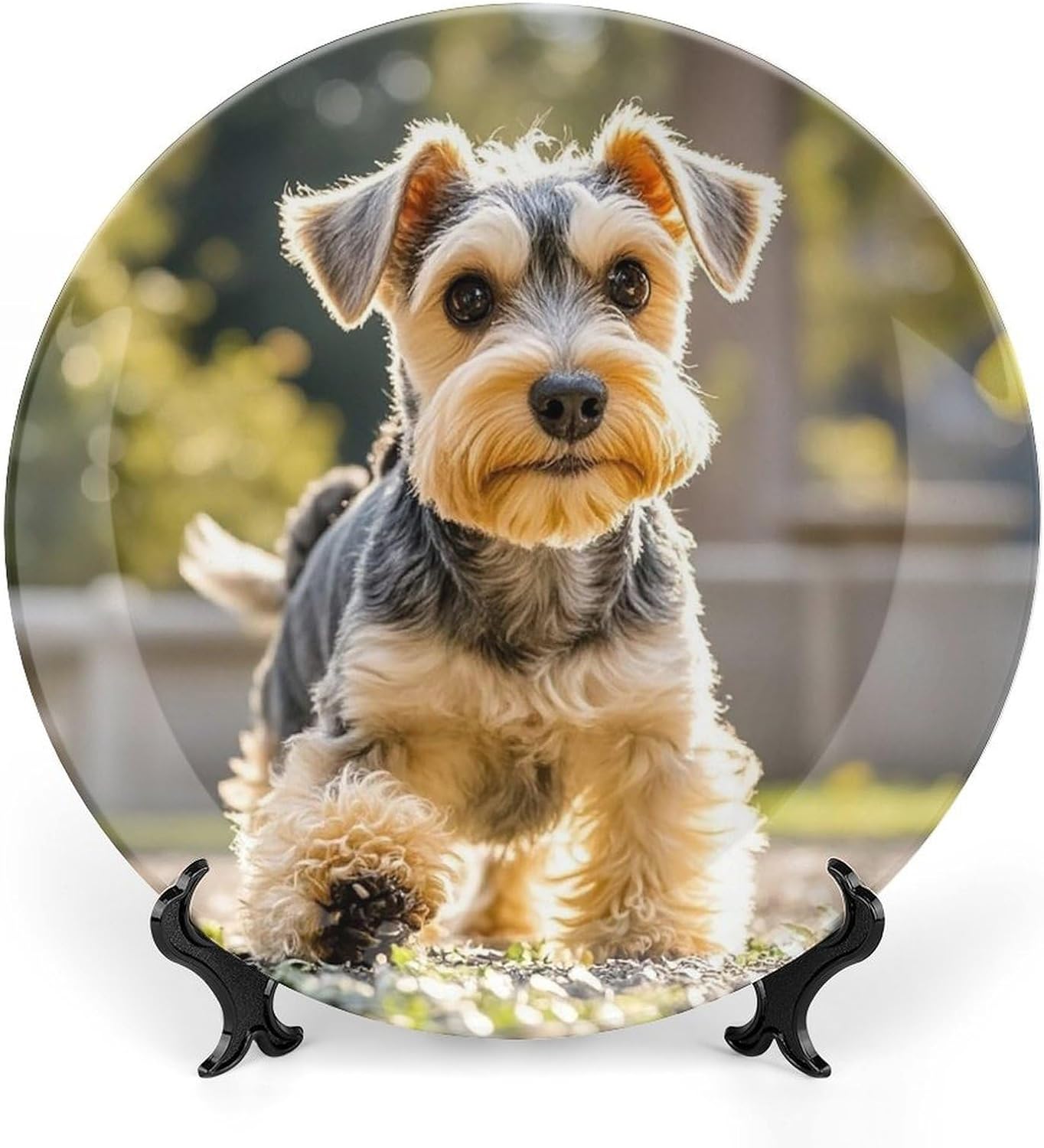Yorkie Puppy Decorative Ceramic Plate Round Porcelain Plate Decor Personalized Bone China Decorative Plates Ceramic Ornaments Dessert Plates with Display Stand 8inch