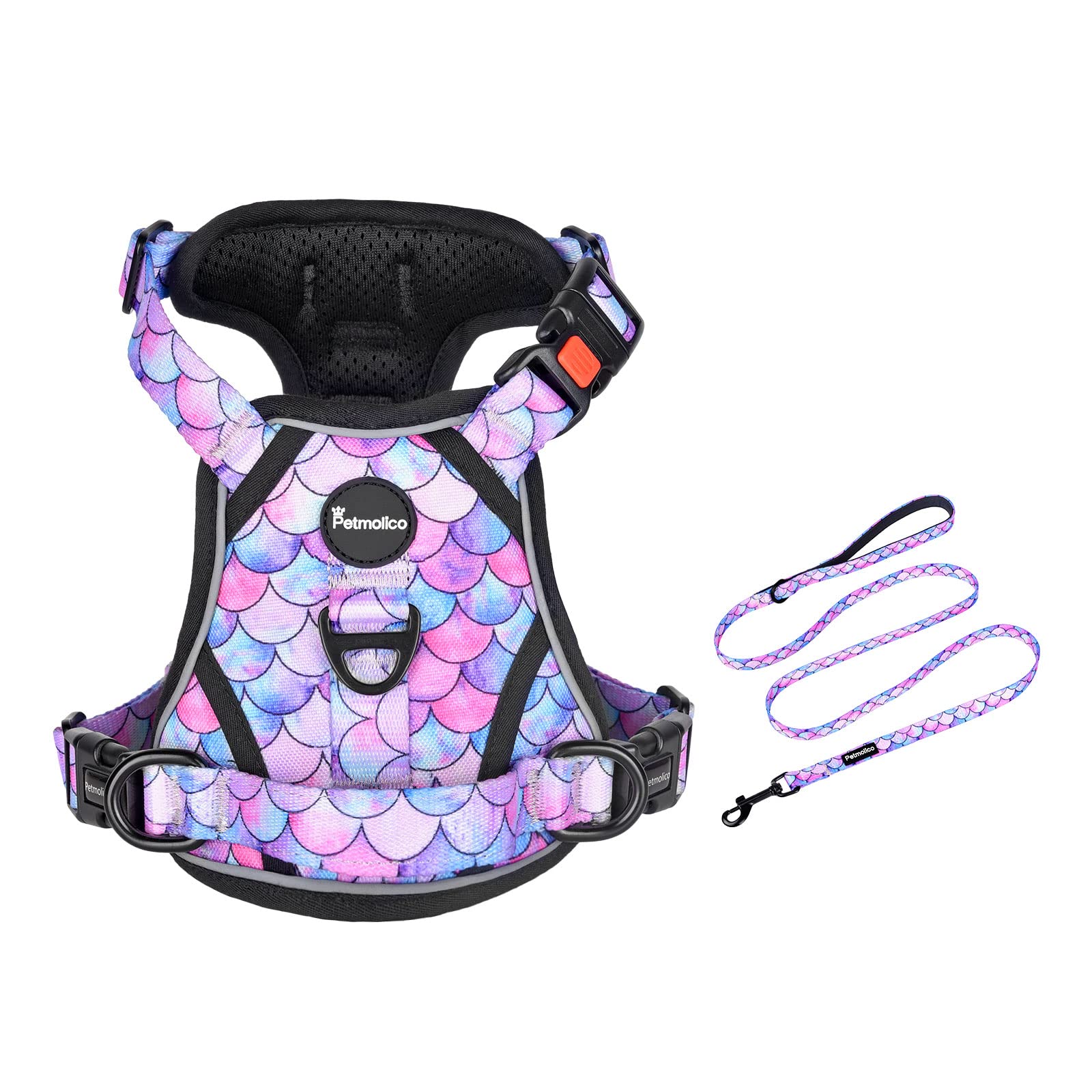 Petmolico No Pull Dog Harness and Leash Set, No Choke 4 Leash Attchments Easy Control Handle Soft Padded Reflective Vest Dog Harness for Small Dog