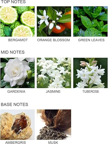 Miniatura 3 de UCC Juego de difusor de junco, 3.38 onzas, Gardenia in Blossom - Difusor perfumado prémium con palitos de flores, difusor de varillas de fragancia