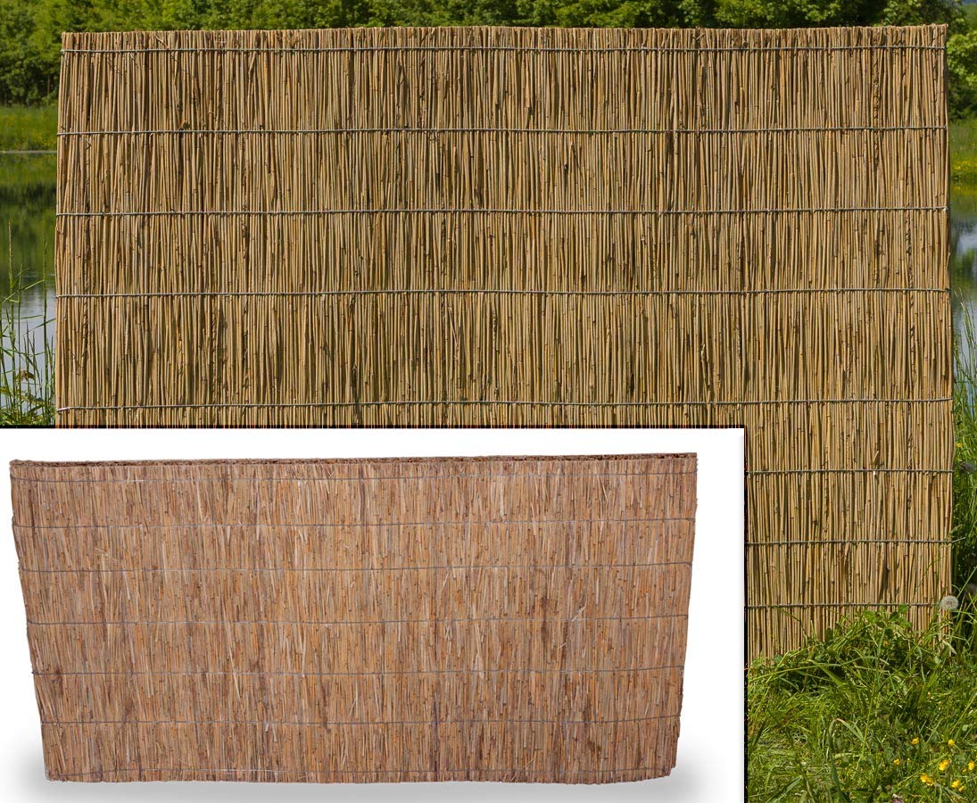 bambus-discount.com Schilfrohrplatte Usedom mit 125 x 200cm und 2,5cm Materialstärke - Dicke starre Schilfplatte als Dämmmaterial