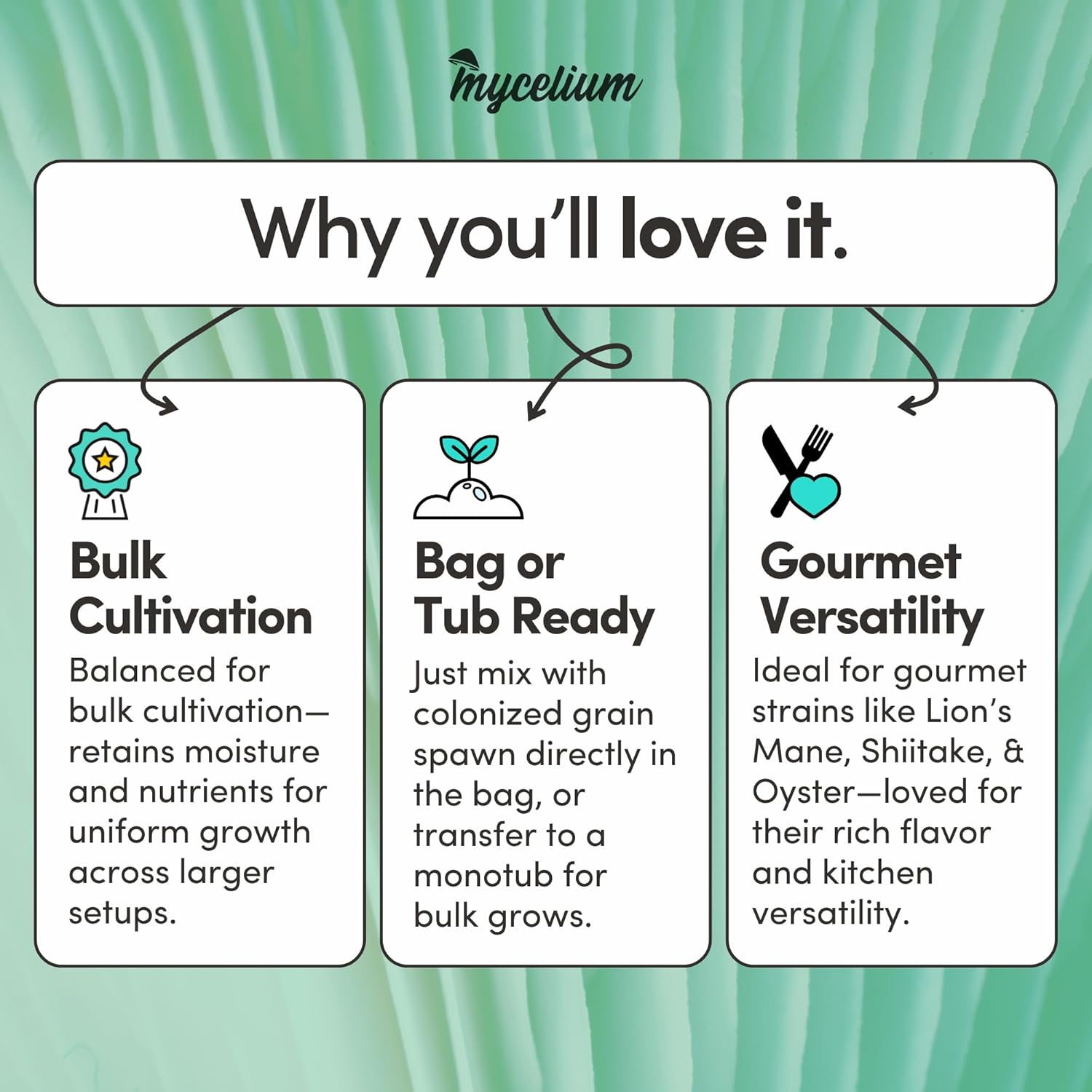 Mycelium Masters Mix Mushroom Substrate 4-Pack (6 lb Bags) Pre-Sterilized 50/50 Oak & Soy Hull | Ideal for Gourmet Wood-Loving Mushrooms | High-Yield, Ready to Use Bulk Substrate | USA Made