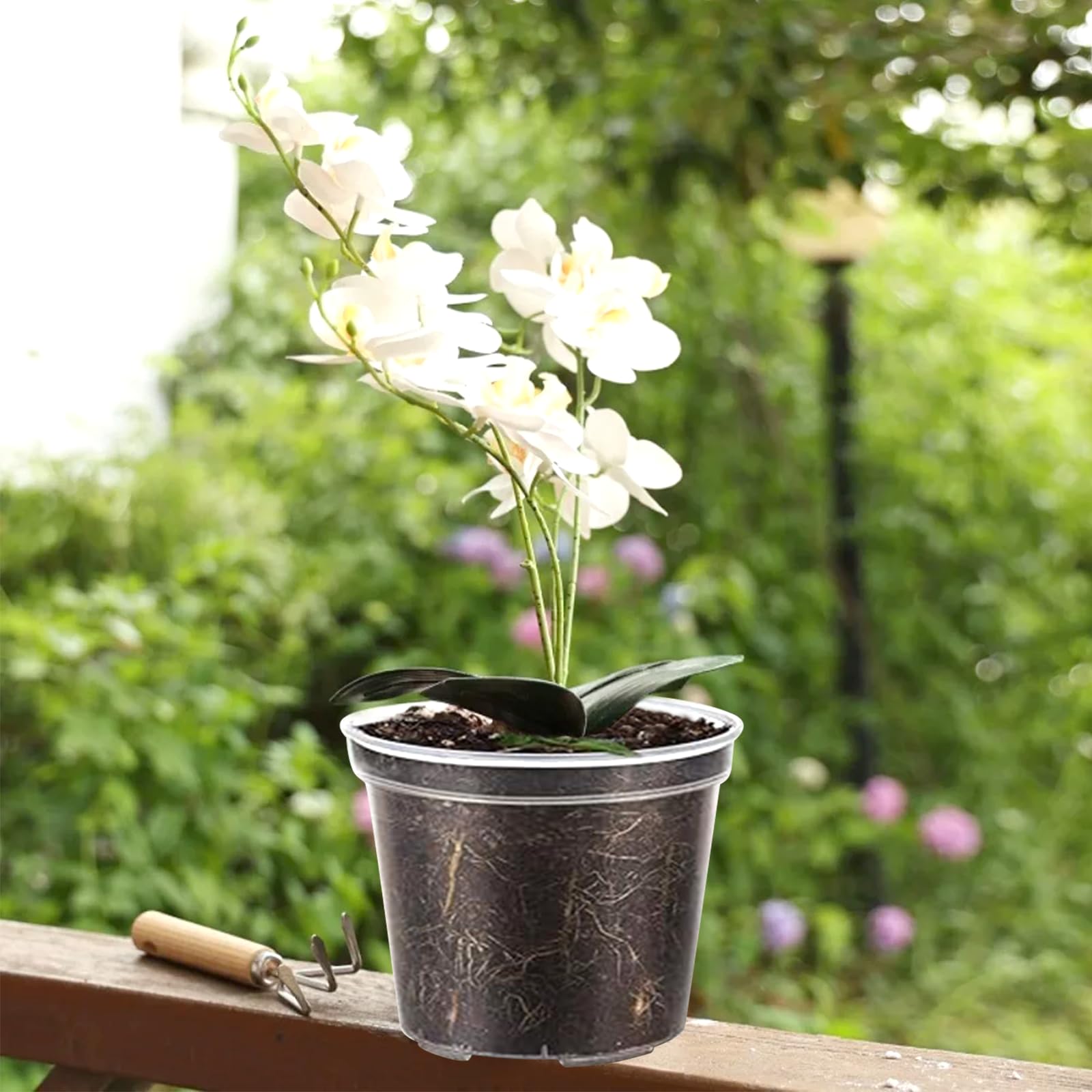10 Vasi Per Orchidee In Plastica Trasparente Con Fori Di Areazione E Drenaggio, Diametro 10 Cm, Altezza 8.5 Cm, Per Interni Ed Esterni - 2
