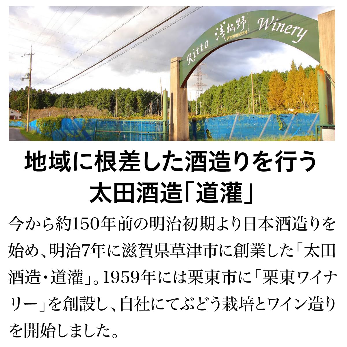 Amazon.co.jp: 太田酒造 道灌 (どうかん) ブランデー 32年