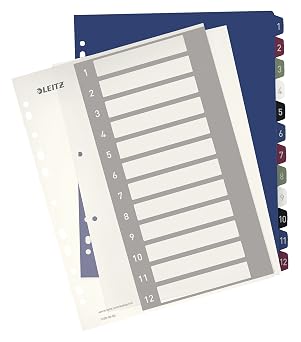 Leitz 1-12 Index A4 PC Printable Heavy Duty Plastic Extra Wide 12380000 - Multi-Colour