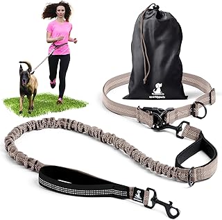 Joggingleine für Hunde zum Laufen, Joggen, Wandern | 2 in 1 Joggingleine und Normale Hundeleine für Große und Mittelgroße Hunde mit Doppelgriff | Bauchgurt Hundeleine