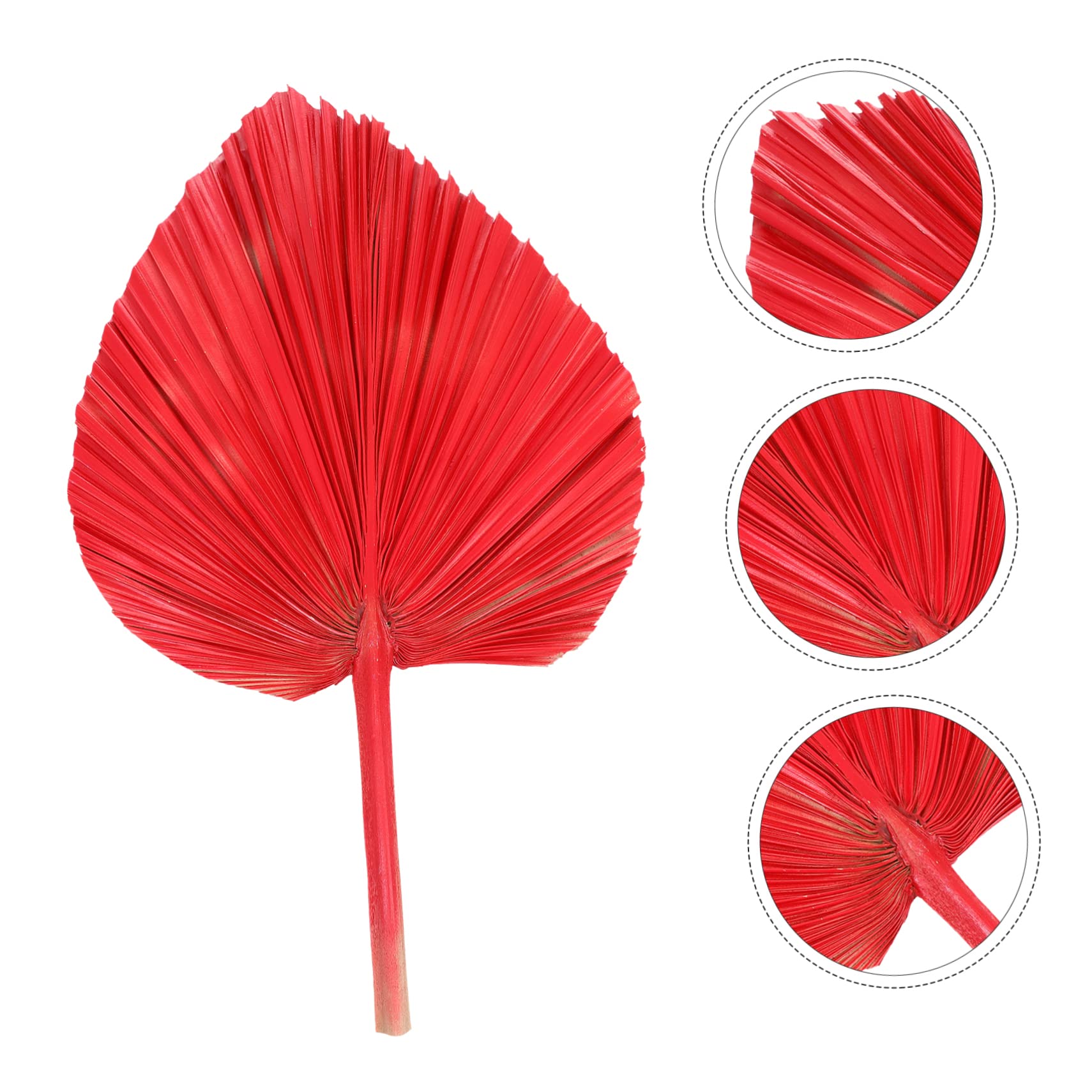 Zerodeko 3 Stücke Elegante Getrocknete Palm Blatt Fan Chic Schmuck Für Hochzeit Schmuck Blatt Getrocknete Blatt Ornament