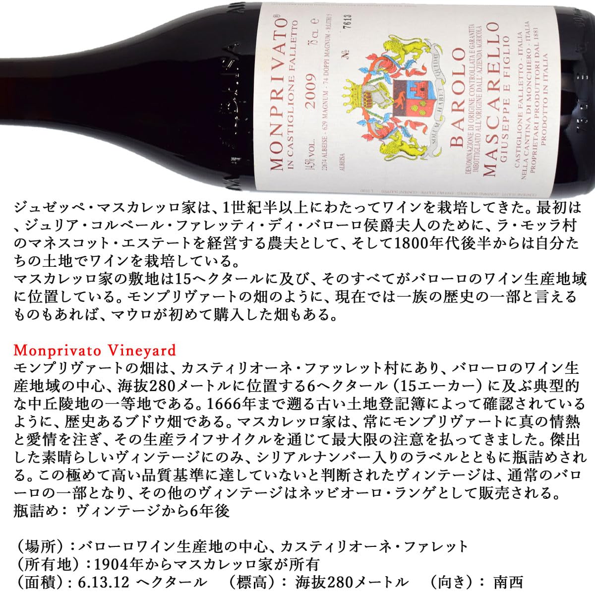 2本セット 赤 2009 BALORO バローロ vintage ヴィンテージ 【公式通販】