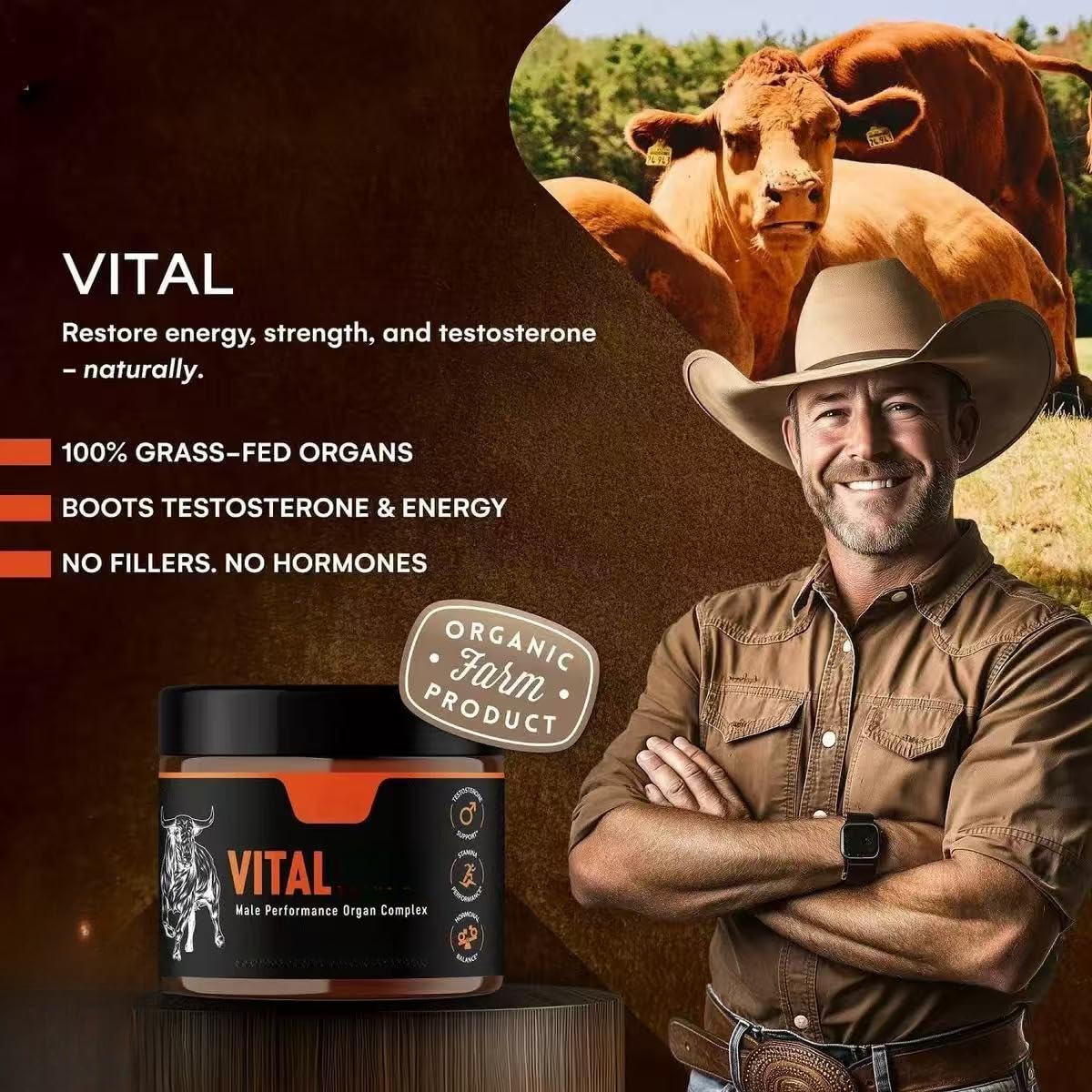 Organe de bœuf de taureau pour hommes avec foie, testicules, prostate et moelle osseuse nourris à l'herbe – Capsules de bœuf lyophilisées pour un soutien nutritif