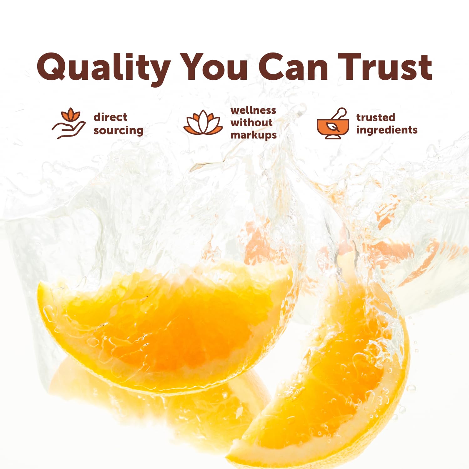 Micro Ingredients Quercetin with Vitamin C & Zinc, 240 Capsules | 6‑in‑1 Formula with Quercetin, Vitamin C & 4 Zinc Forms (Picolinate, Citrate, Glycinate, Gluconate) | Non‑GMO — Amazon image 6