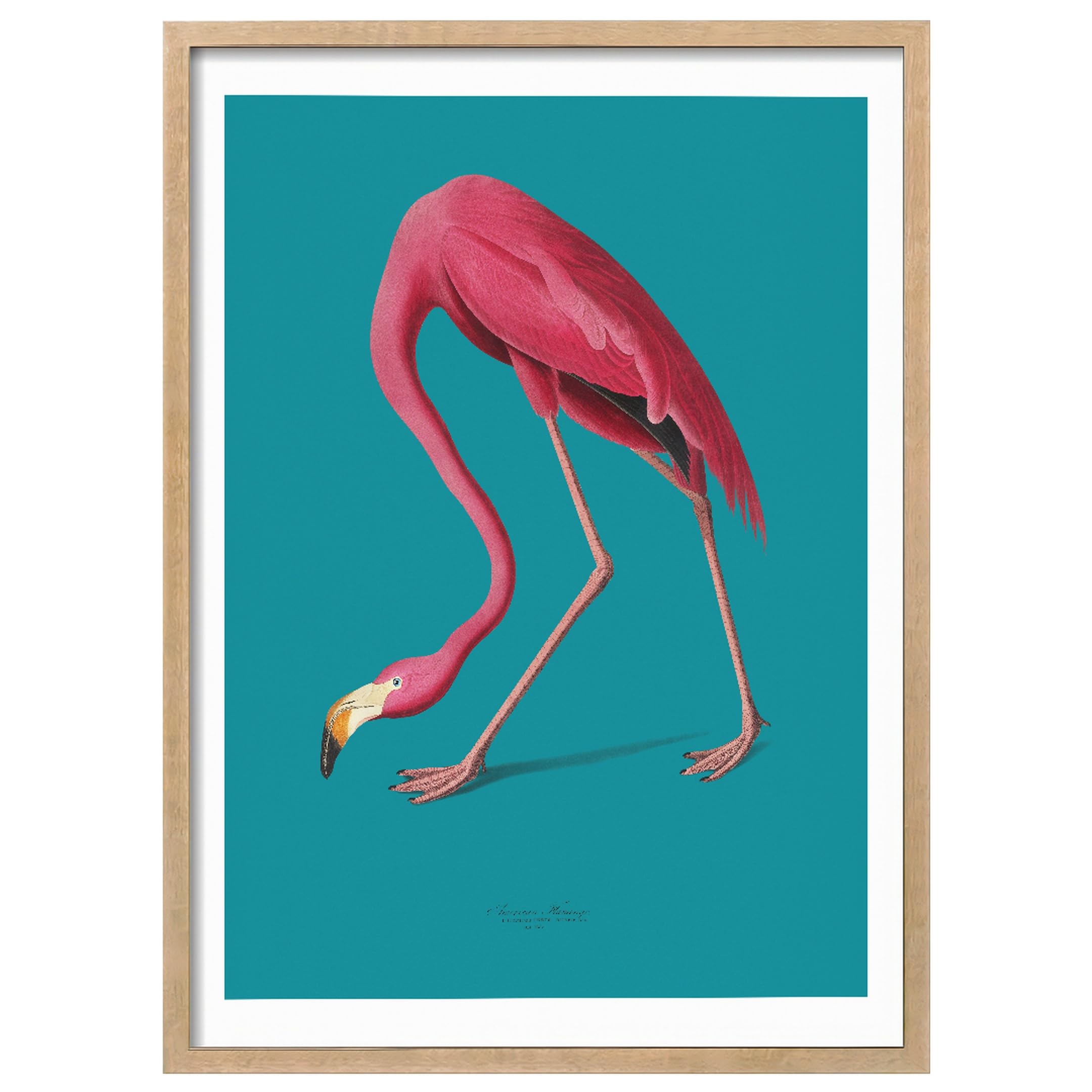 WallBUddy Flamingo Illustration Wandkunst Druck (30 x 40 cm, Eichenrahmen)
