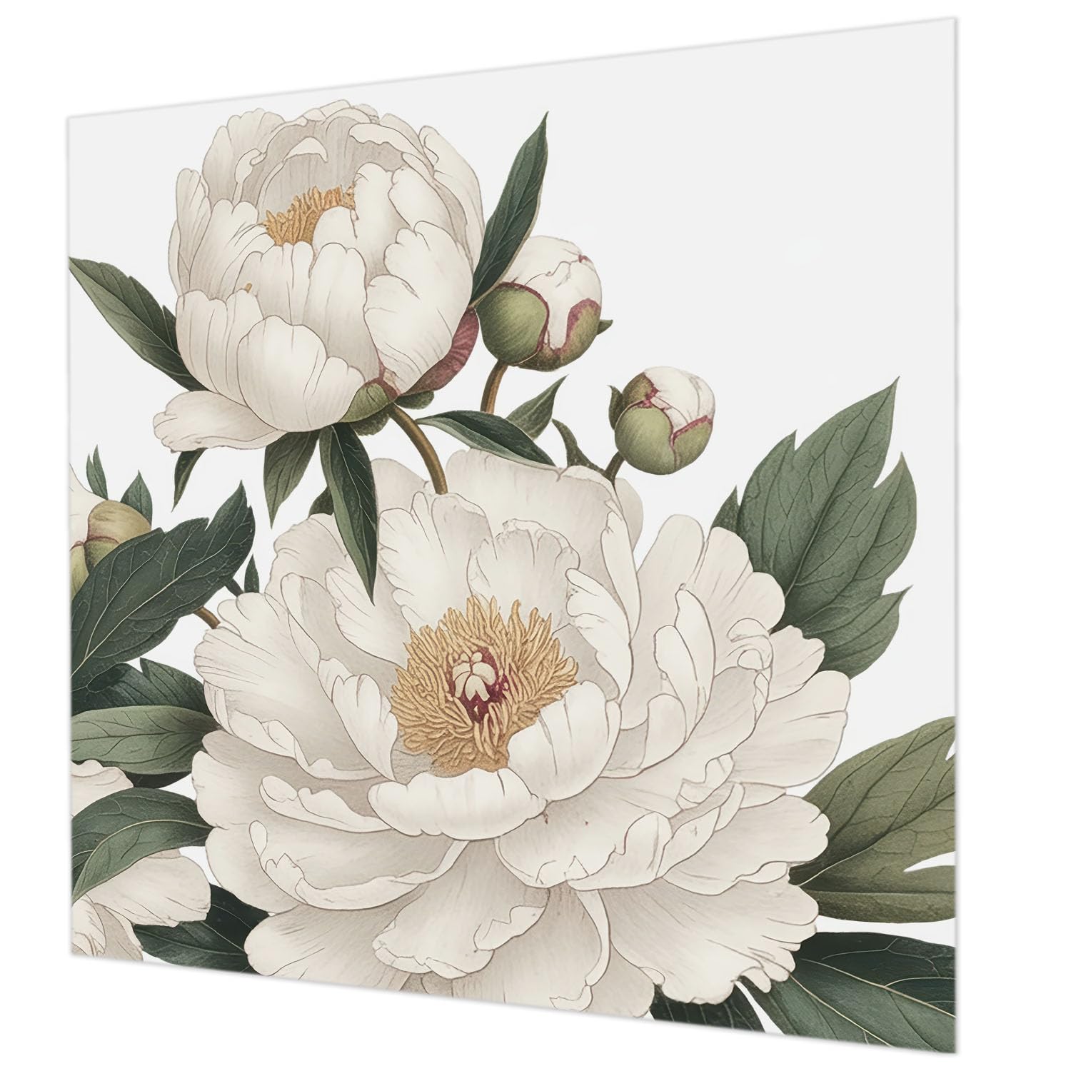 Décor mural intissé 250x250 cm pivoines blanches Tulup pour salon