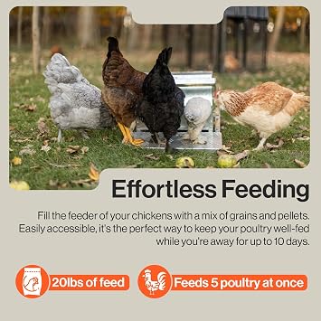 SuperHandy Chicken Feeder Automatic 20lbs (9kg) Capacity Trough Feeds 6-12 Poultry/Fowl Up to 10 Days Keeps Dry with Spill Proof Galvanized Steel Bird Prevention for Chickens, Pheasants, or Roosters