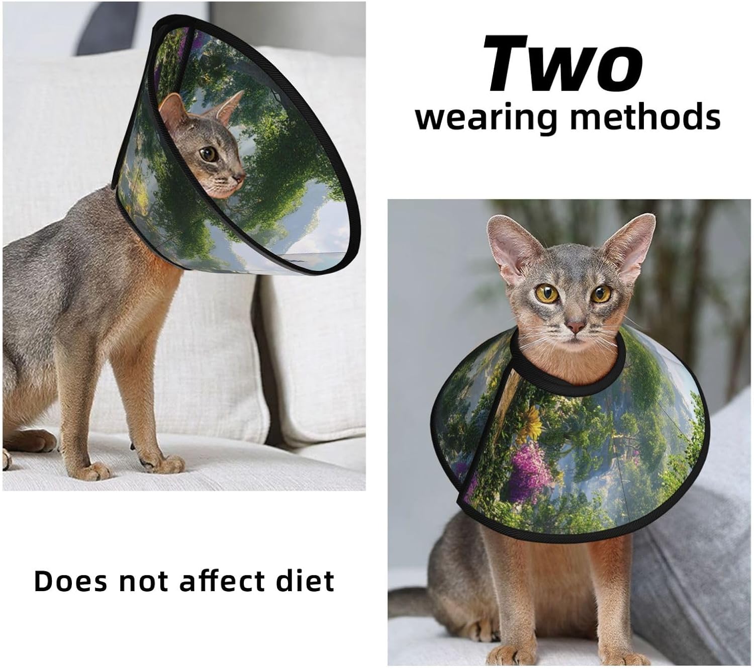 Custom Pet Cones - Unique Design Cat & Dog Cone, Collar for Post-Surgery Recovery, Adjustable Neck Shangri-La Large
