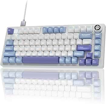 715bdVWE1VL._AC_UF350,