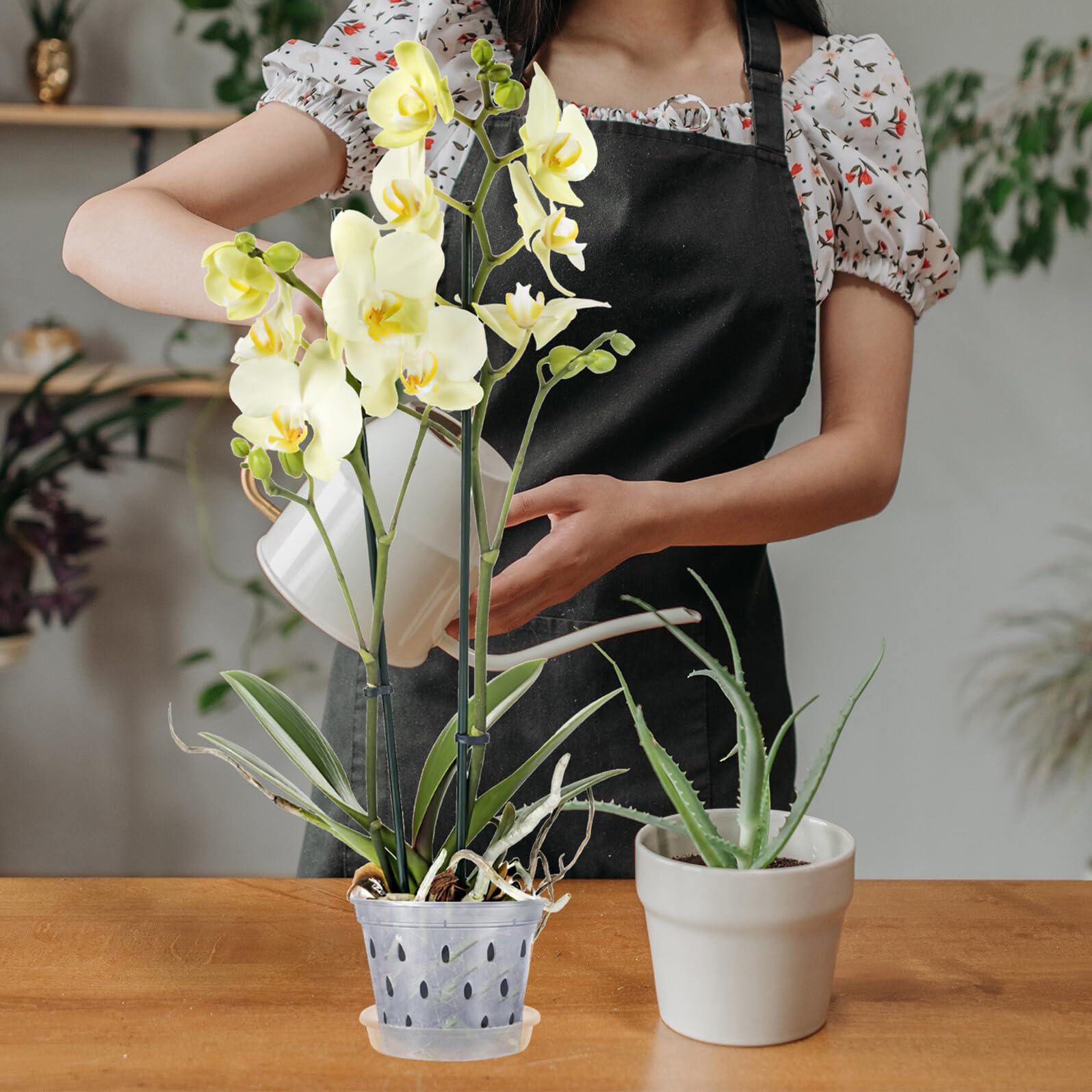 Homoyoyo 9 Stück Transparente Orchideentöpfe aus Robustem Kunststoff mit Löchern und Untersetzer Durchsichtige Pflanzgefäße für Garten Anzucht und Wurzelkontrolle Wiederverwendbar