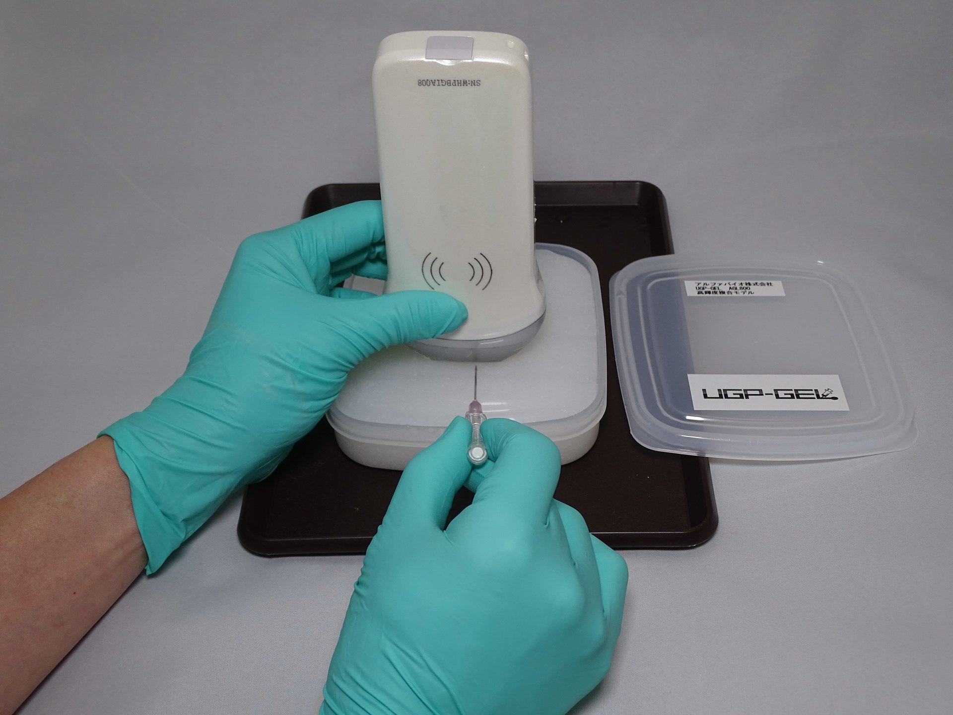 Amazon.co.jp: 超音波ガイド下穿刺トレーニングゲル UGP-GEL 高輝度