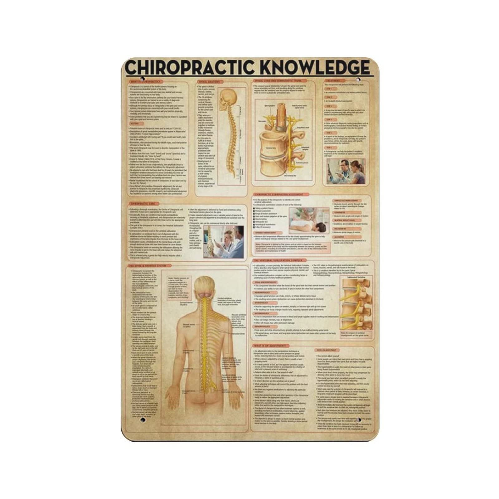 AOOEDM Chiropractic Knowledge Metal Sign for Home Coffee Garage Wall Decor Vintage Poster Bar Signs for Home Bar Retro Metal Tin Sign