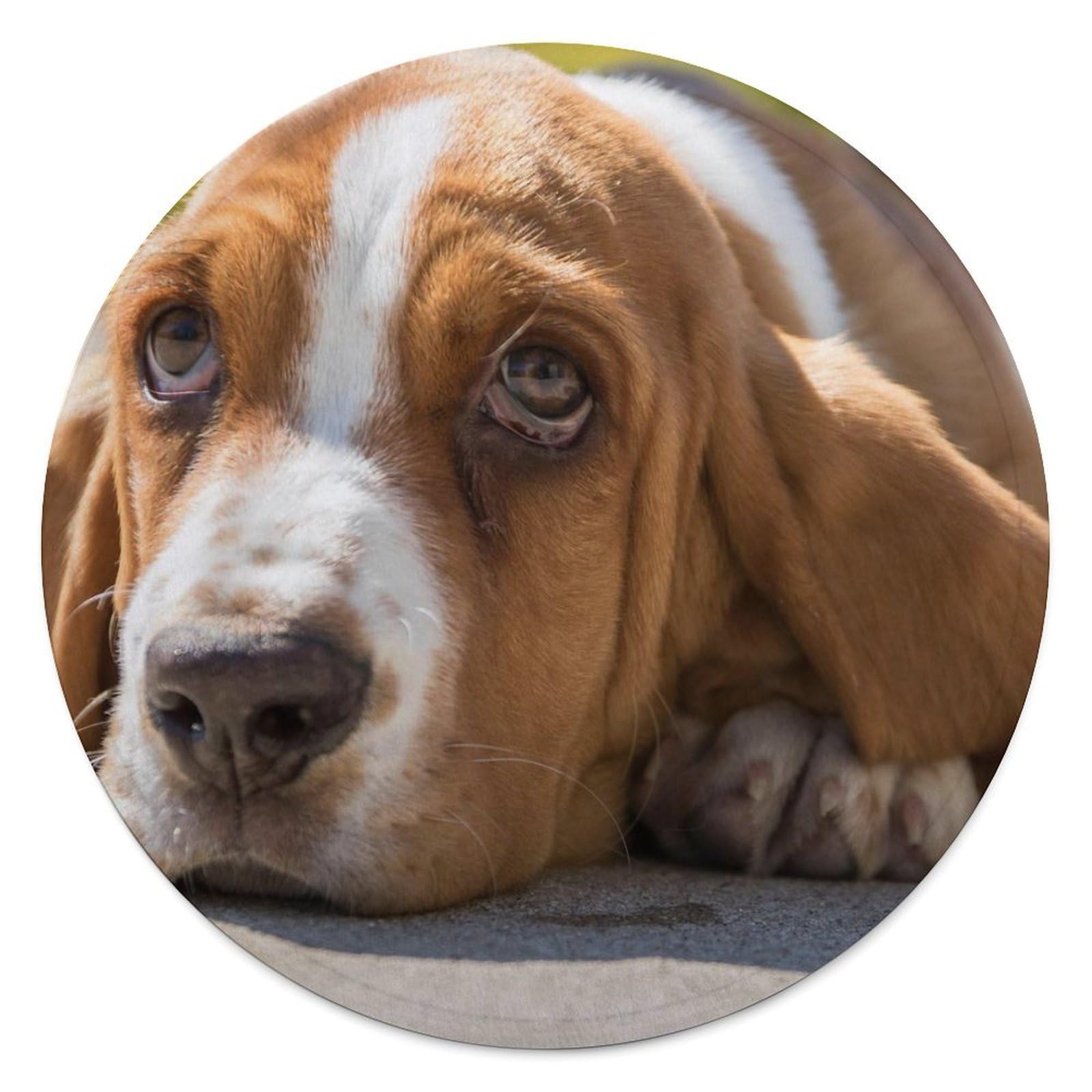 FekiLoot Basset Hound Round Flannel Throw Blanket, 59.1 Inch Diameter Single Sided Printed Fleece Blanket, Multipurpose Foldable Decor Cover for Couch Office Camping Home Furnishing