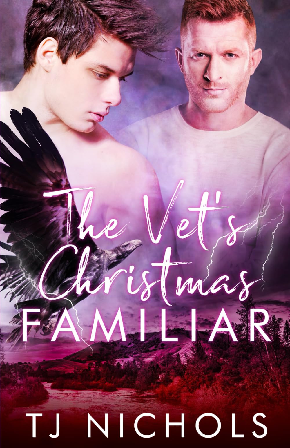 The Vet's Christmas Familiar: mm fated mates paranormal romance (Familiar Mates)