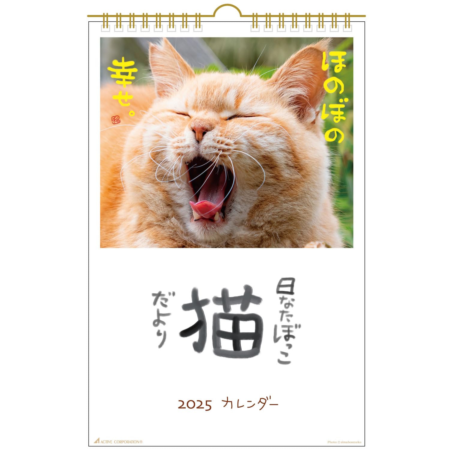 Amazon.co.jp: アクティブコーポレーション 2025年 カレンダー 壁掛け