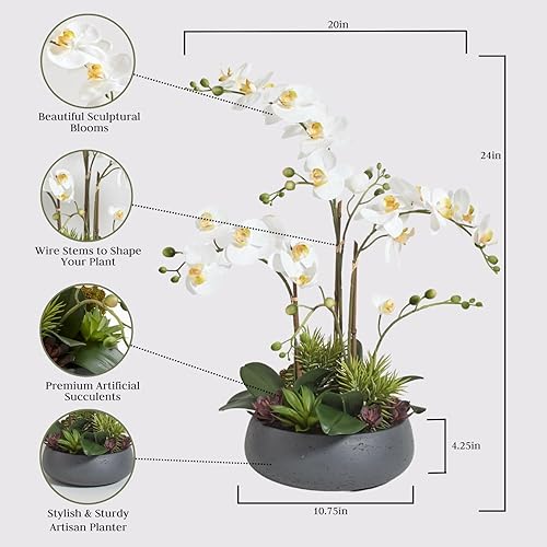 Miniatura 2 de CG Hunter Planta de orquídea sintética con suculentas, soporte de exhibición de flores artificiales de alta calidad para interiores de 23 pulgadas