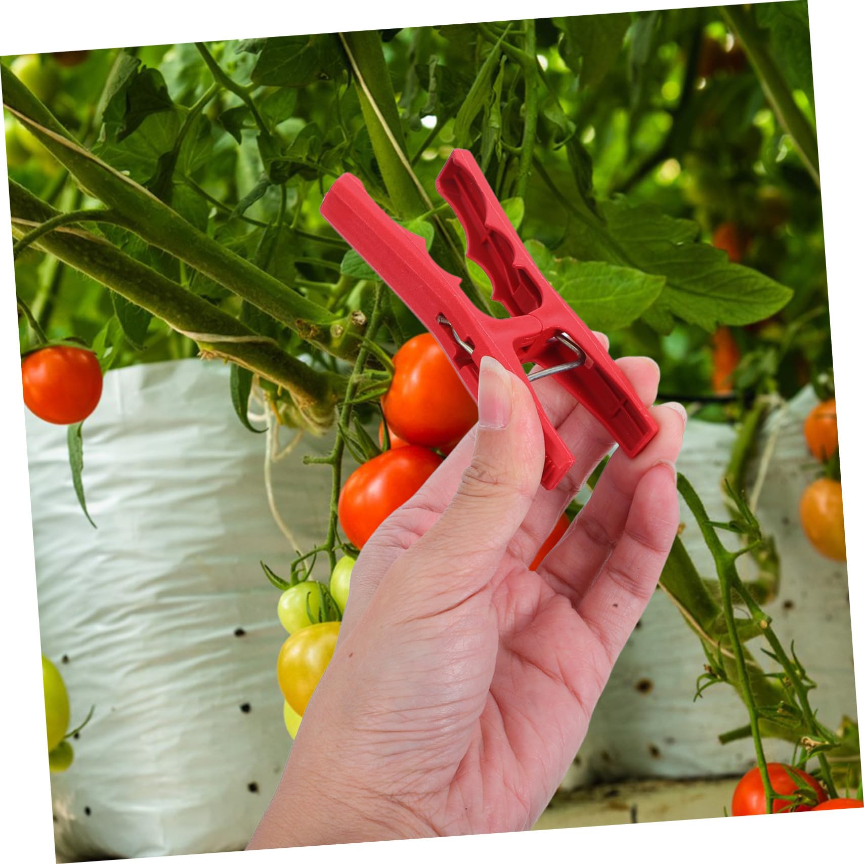 ifundom Clips de Fixation pour Plantes Grimpantes 100 Pcs Plastique Rouge
