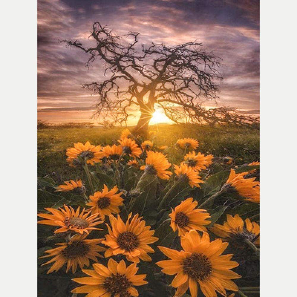 Peinture diamant 5D coucher de soleil et tournesol - Kit mosaïque broderie 30x40cm