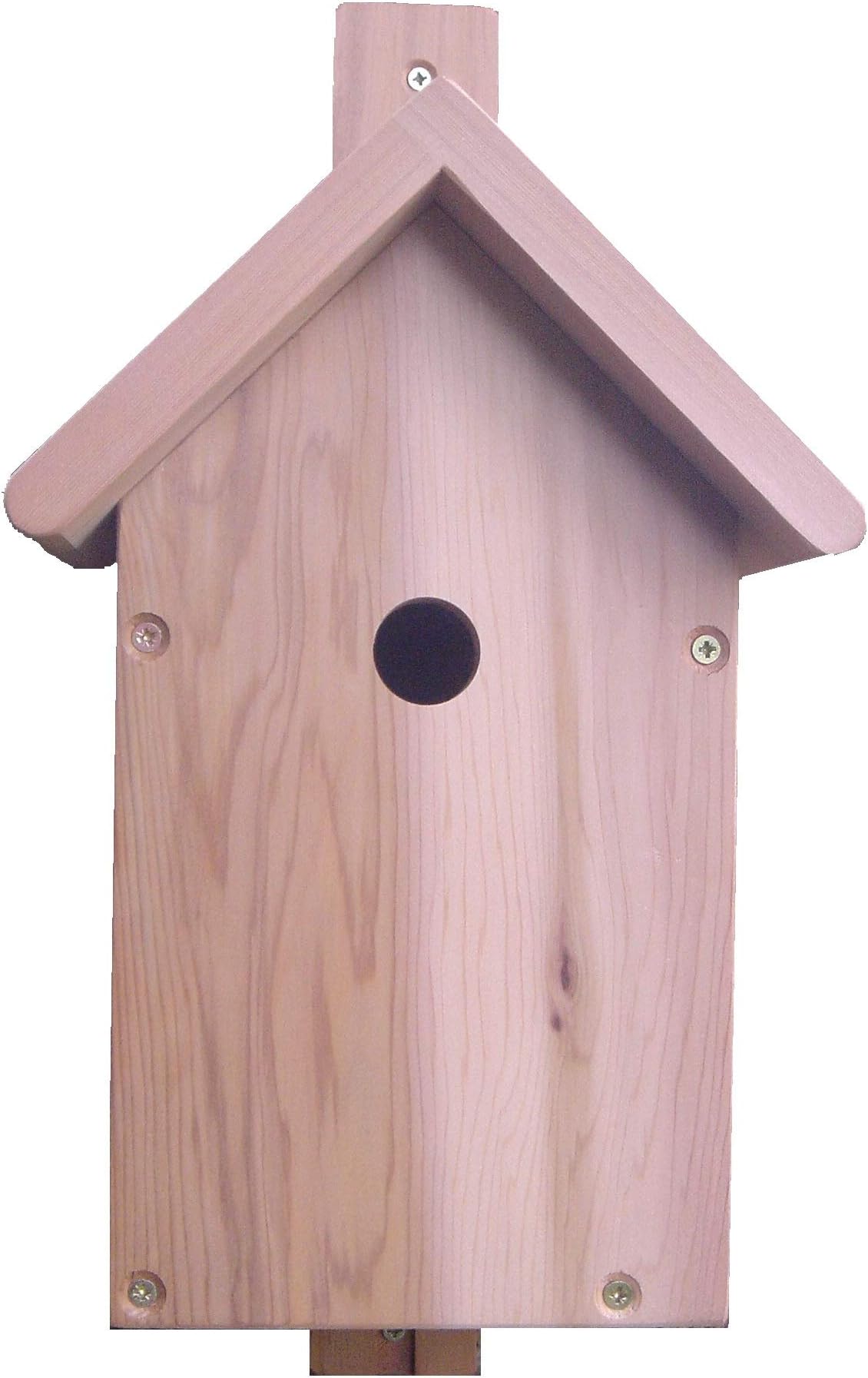 Cedar Bird Box with Wireless Colour CCD Camera - 28mm Hole