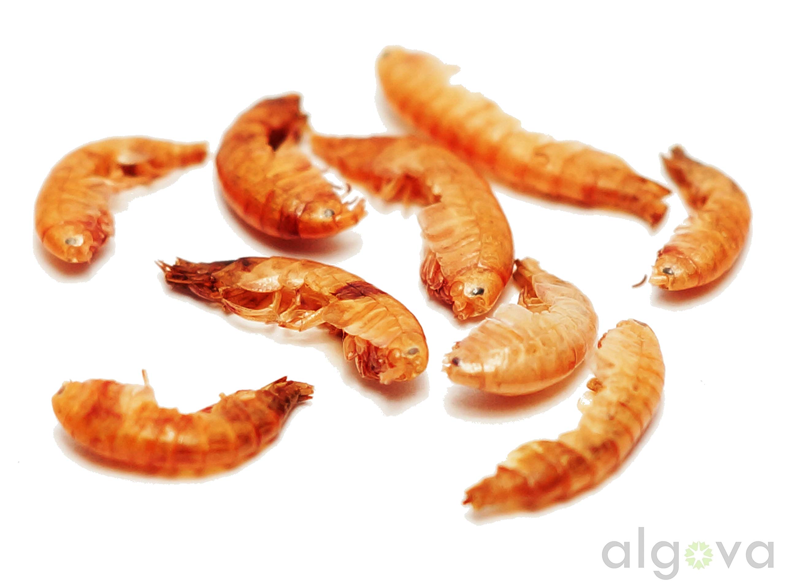 Gammarus gamberi essiccati - pesce cibo pesci pesci rossi pesci di stagno koi - cibo tartarughe rettili e polli 3kg