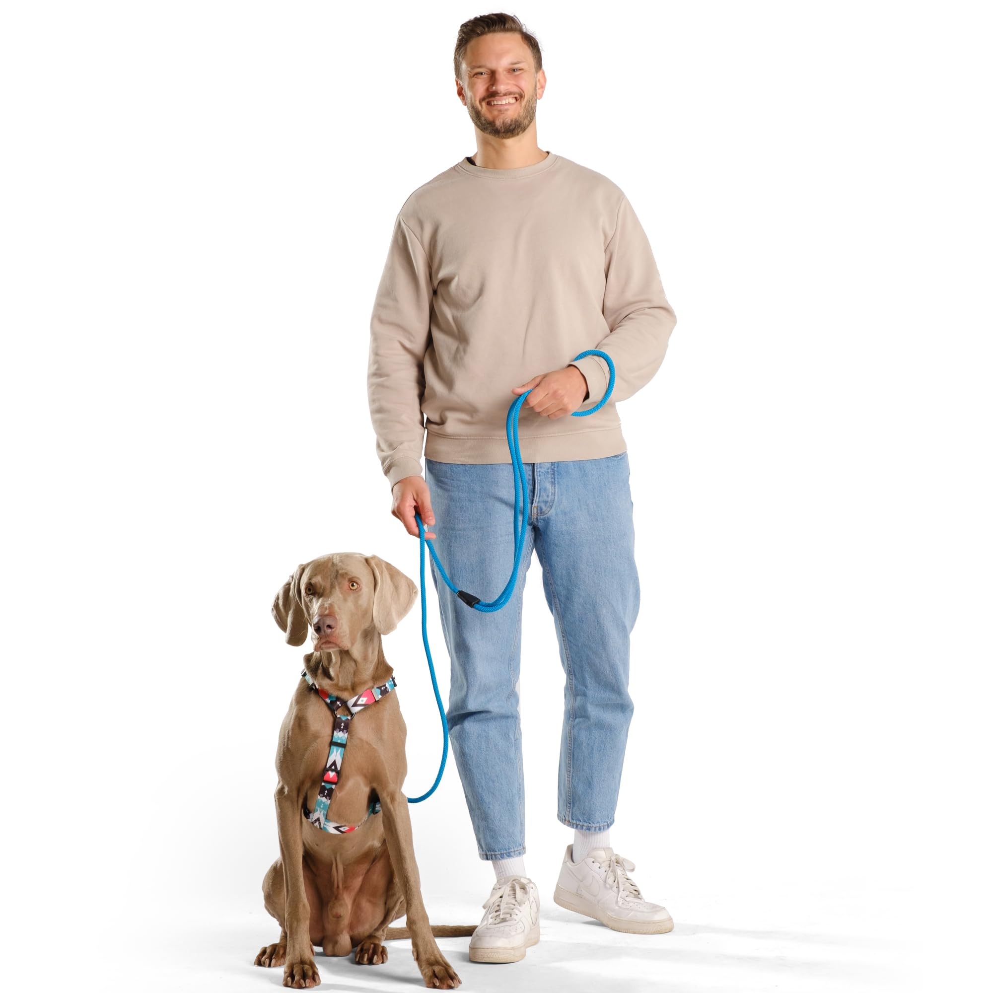 Wisedog Handfreie Hundeleine Crossbody – Verstellbar, 15 M, Für Mittelgroße & Große Hunde, Joggen & Training