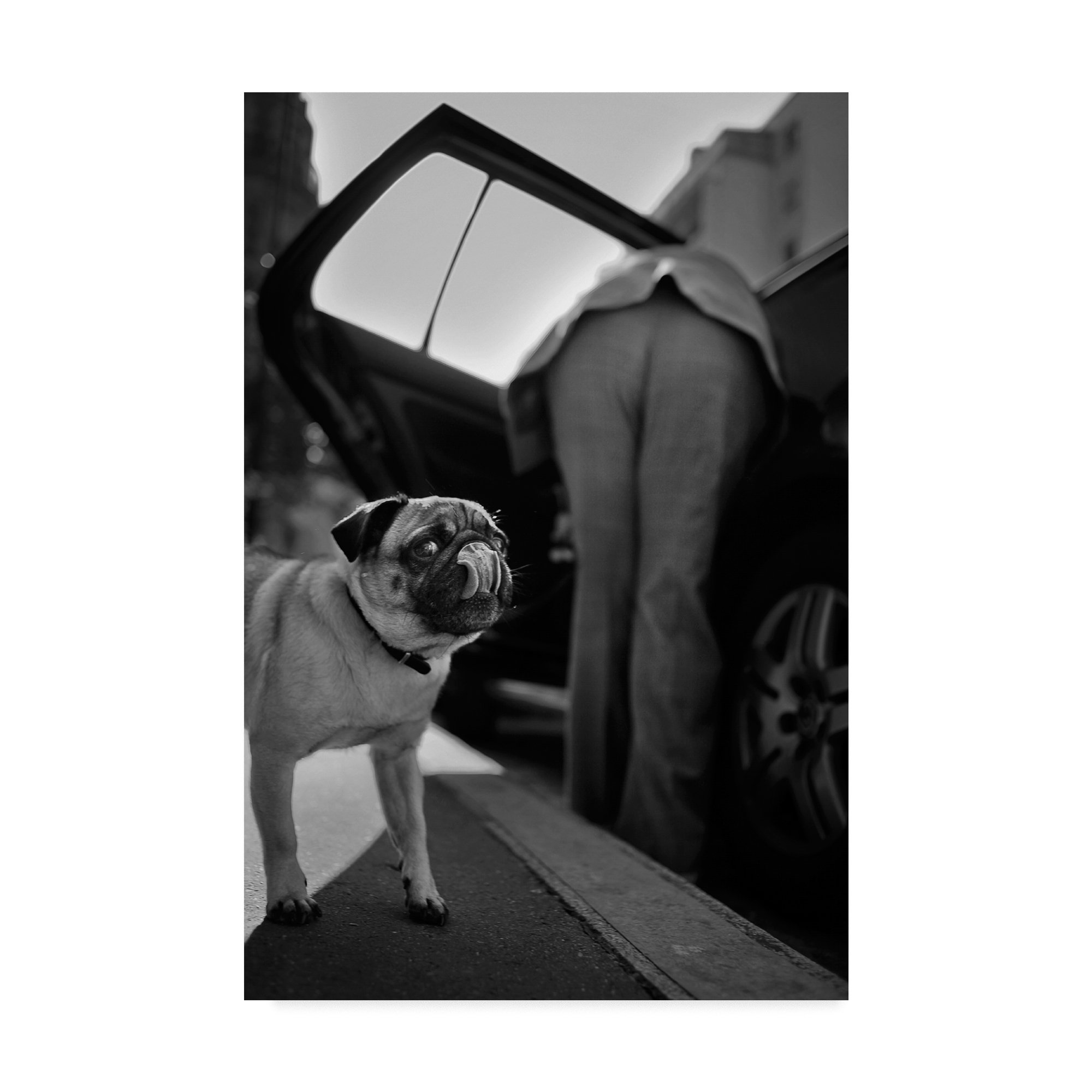 Trademark Fine Art Christophe Debon Fine Art, 12x19, Multicolor