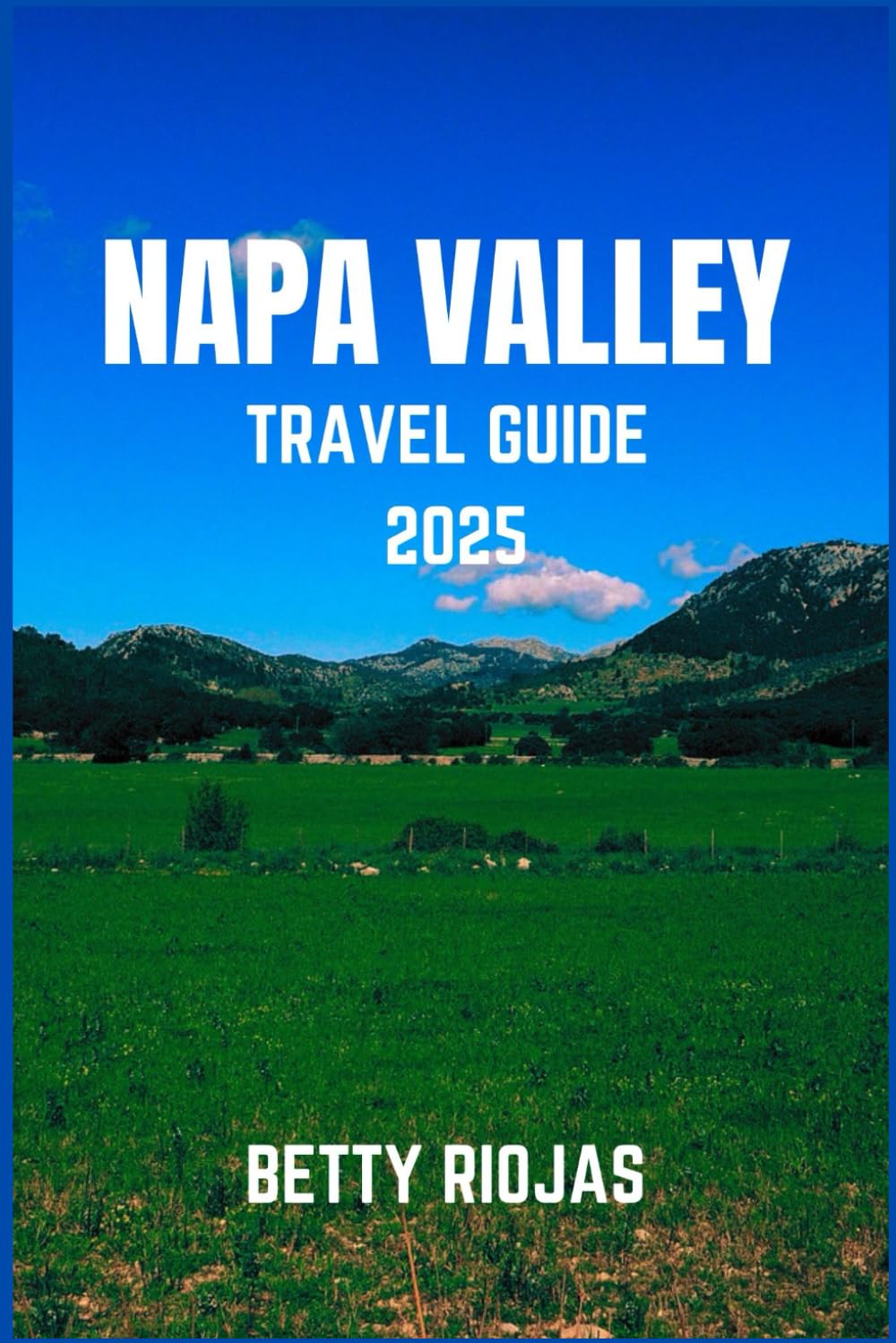 NAPA VALLEY TRAVEL GUIDE 2025: Savoring World-Class Wines, Scenic Vineyards and Gourmet Experiences in California’s Wine Country
