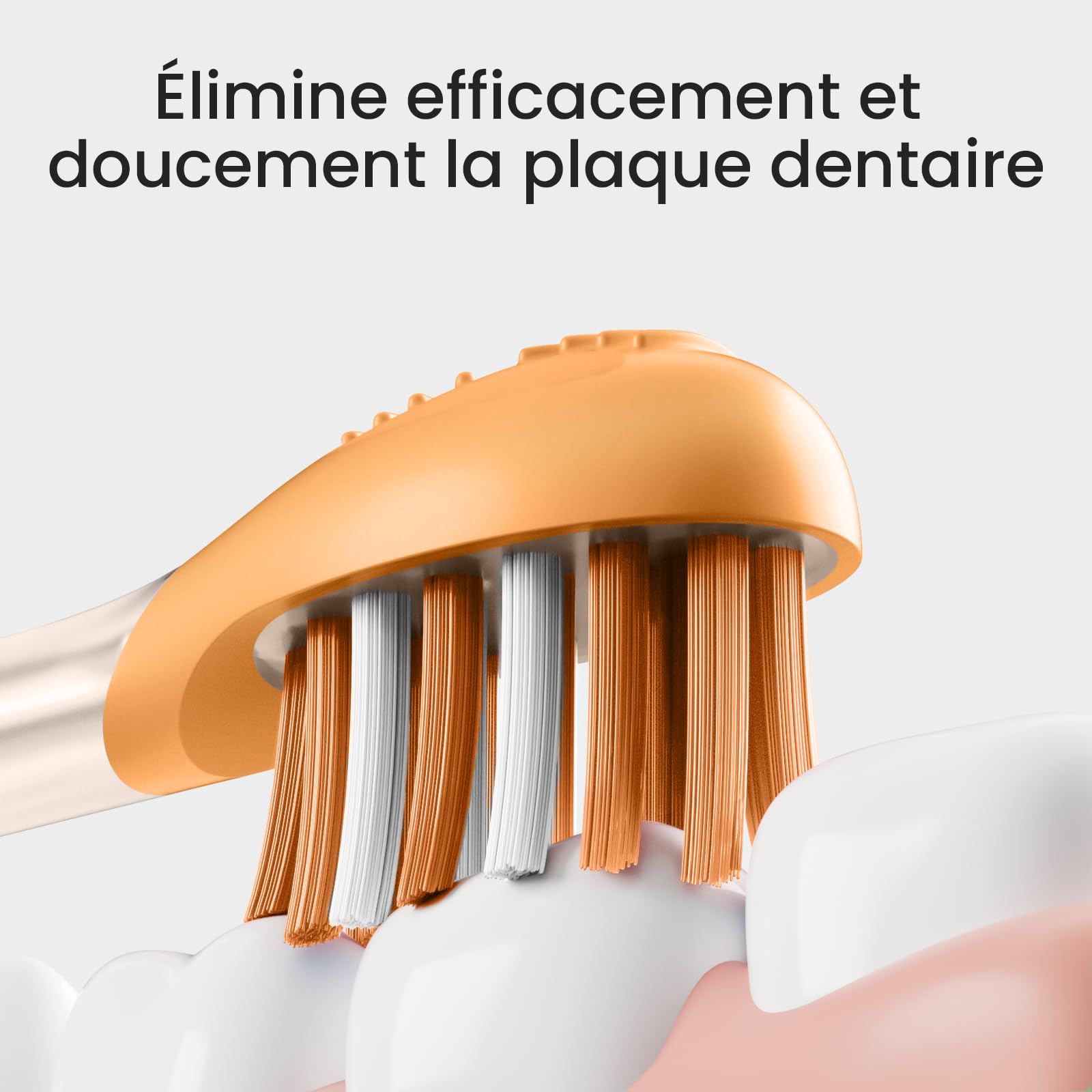 Oclean Easy Clean Têtes de rechange, pack de 2, Têtes de brosse pour la brosse à dents électrique Oclean Ease, Caoutchouc souple avec poils souples, Avec gratte-langue (Orange, Medium)