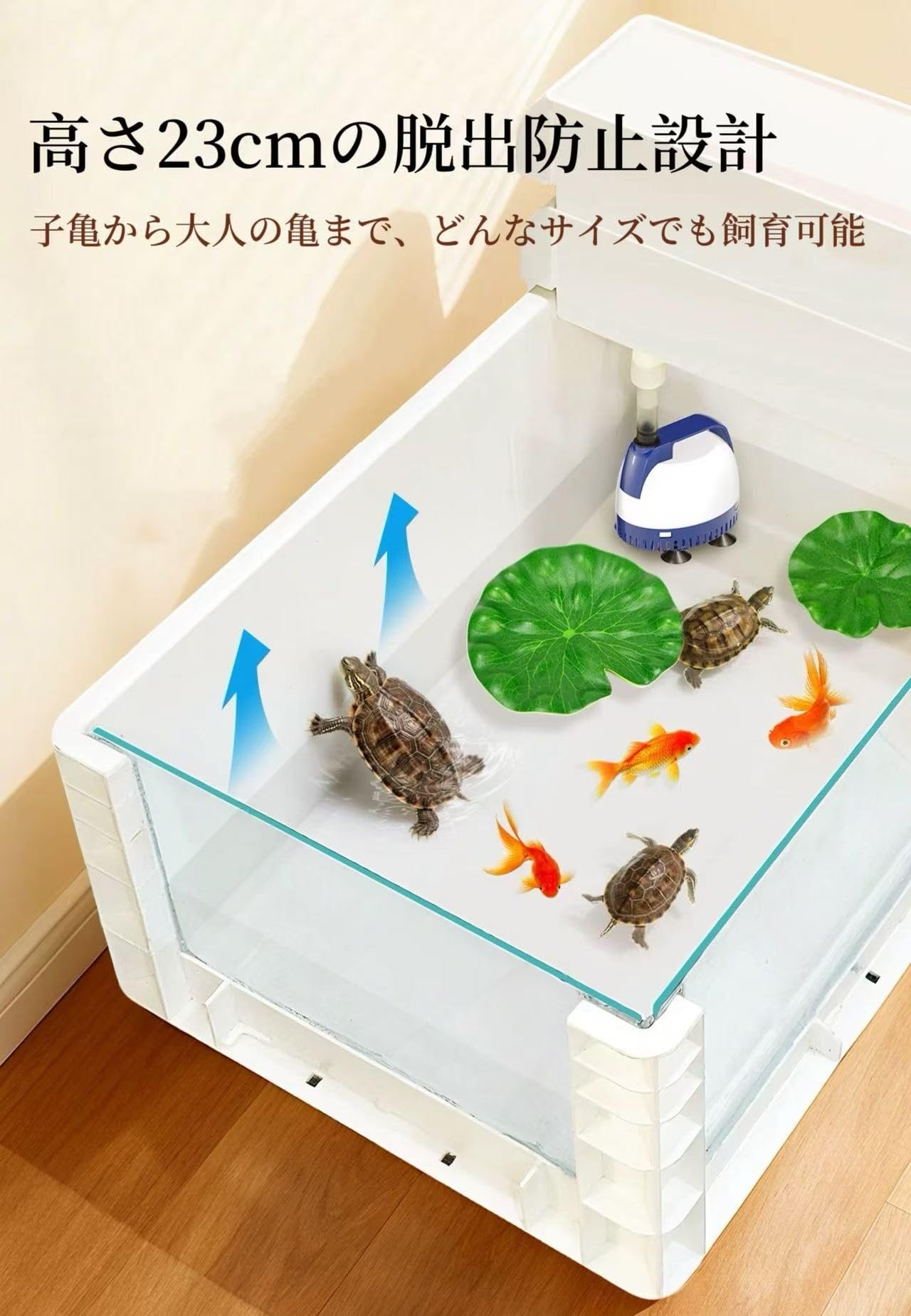 Amazon | Warayumi 亀 水槽 亀 飼育ケース アクアリウム カメ 隠れ家