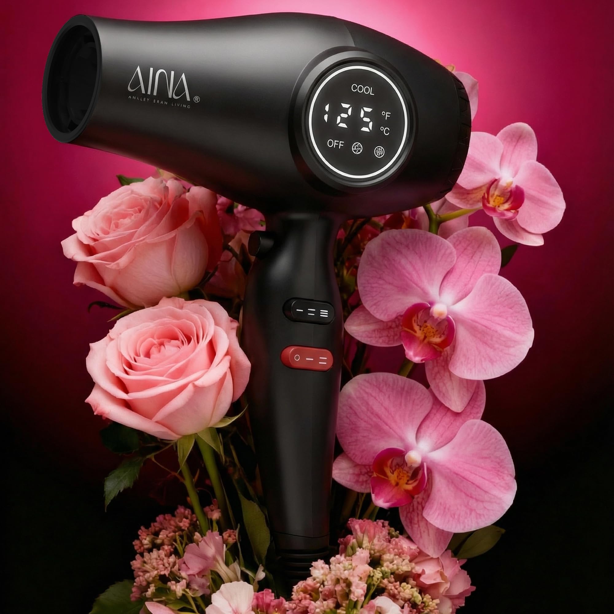 AINA Professional Hair Dryer with Diffuser, 110V 1875W, Ionic, LED Display