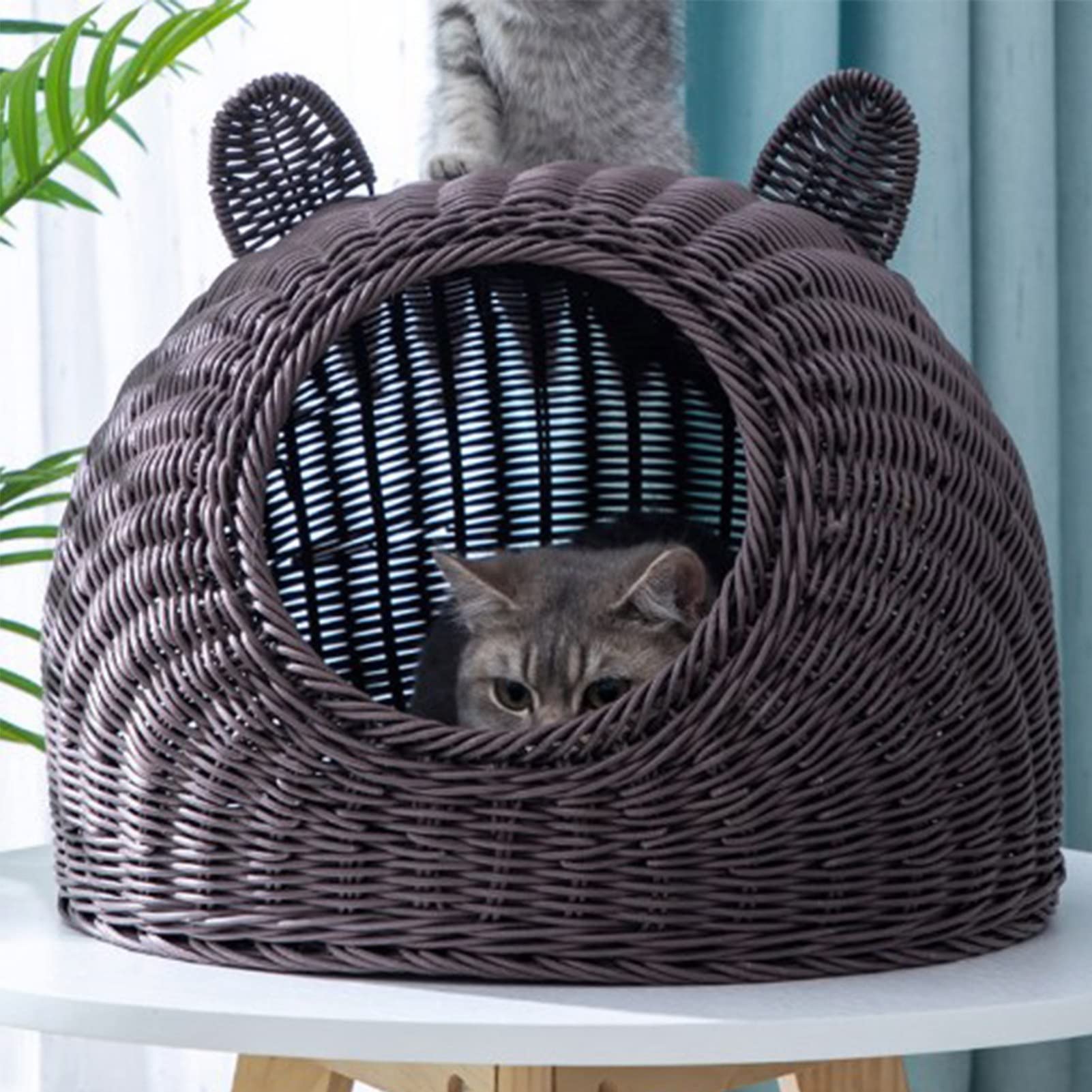 HEEPDD Cuccia Per Gatti Cuccia Per Gatti in Plastica Intrecciata a Mano Per Animali da Interno Semi Chiusa con Simpatico Design a Orecchie di Gatto Ampia Apertura Traspirante Per Tutte le Stagioni