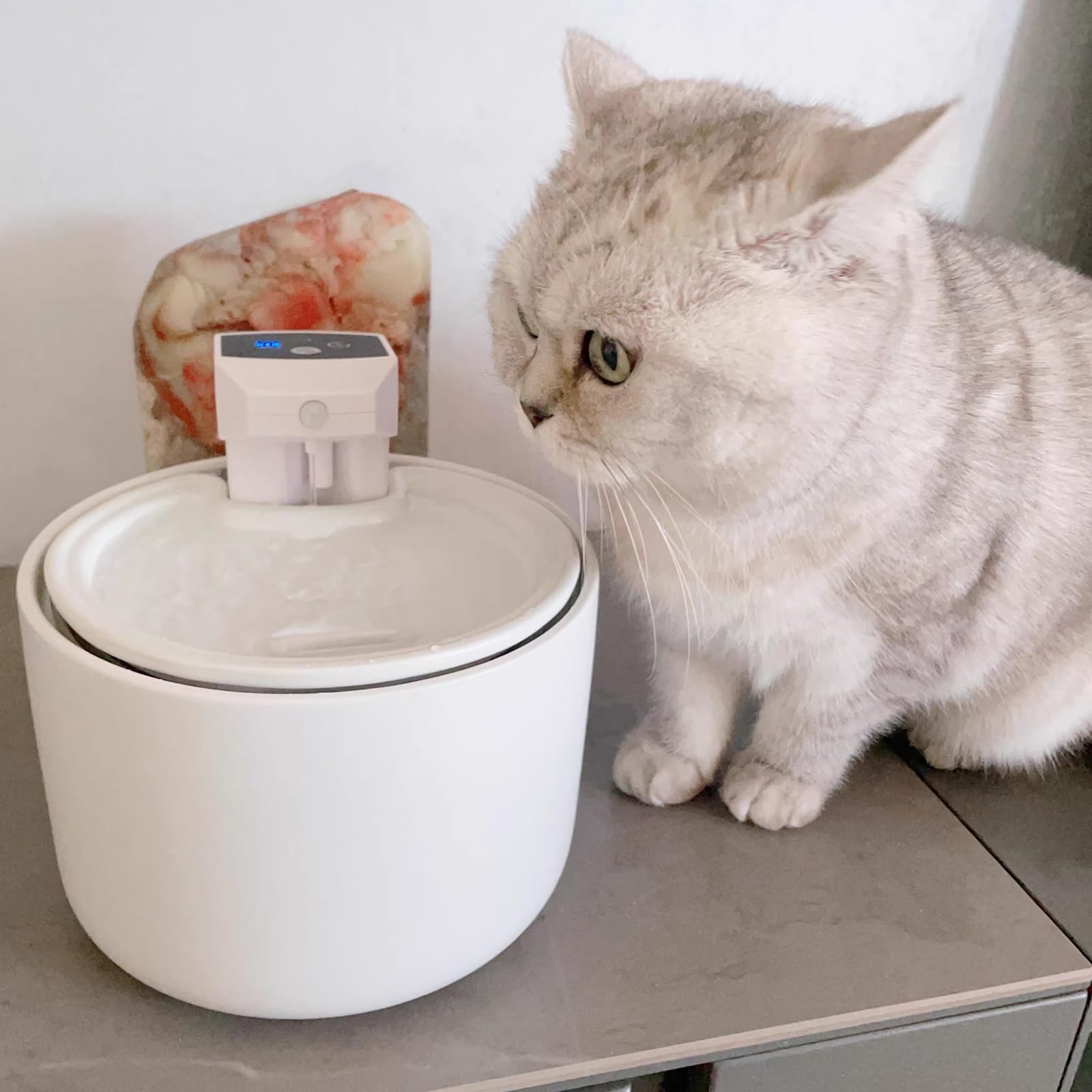 Fontana d'acqua per gatti in ceramica senza fili: dispenser automatico super silenzioso con sensore intelligente super silenzioso da 3 litri con batteria da 5000 mAh per cani con 7 filtri di ricambio