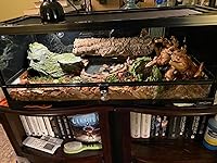 Review Image by Michael Courtney Michael Courtney