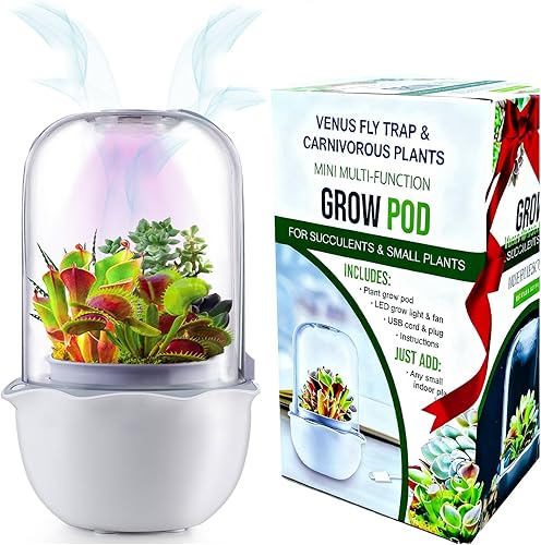 Smart Venus - Maceta de terrario con temporizador y ventilador, maceta violeta africana con luz de crecimiento, kit de terrario para plantas
