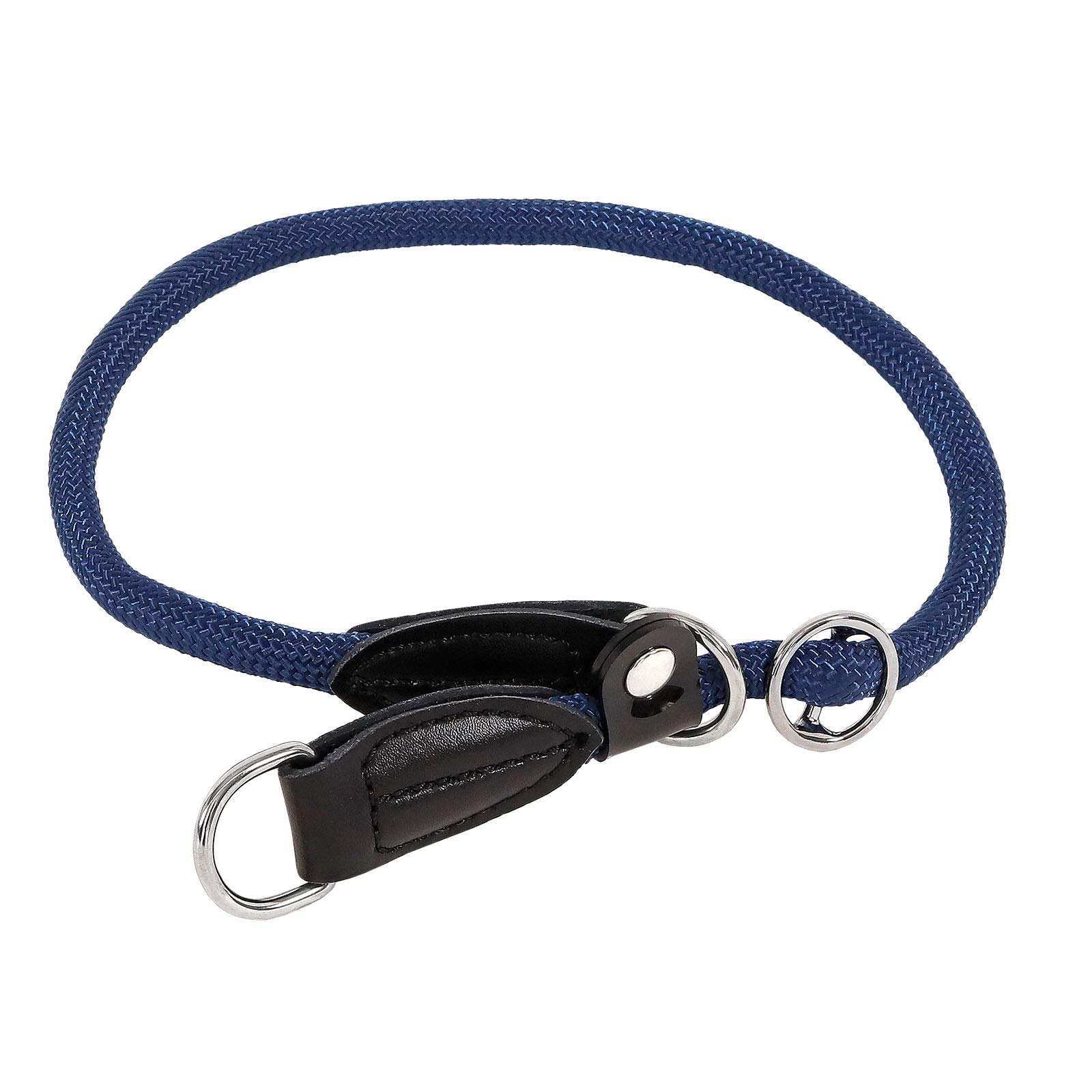 lionto Collar de Perros Collar Retriever Collar de adiestramiento, Longitud 55 cm Azul