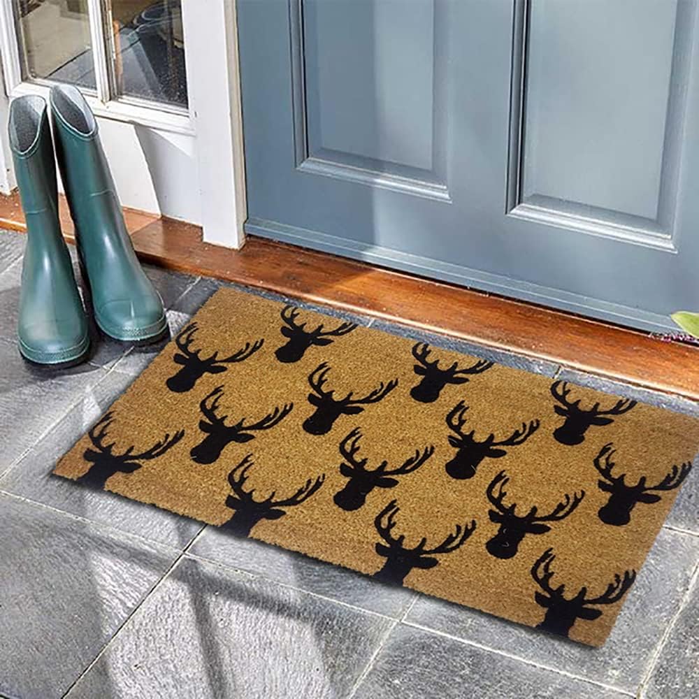 NACH Dragonfly Glitter Doormat, Coir Door Mats Outdoor, Front Door Mat Outside Entrance, Welcome Mat Outdoor Entrance, Non Slip Mat, Blue Coir Doormat w/Vinyl Mat Backing, 18x30 in, FW-977